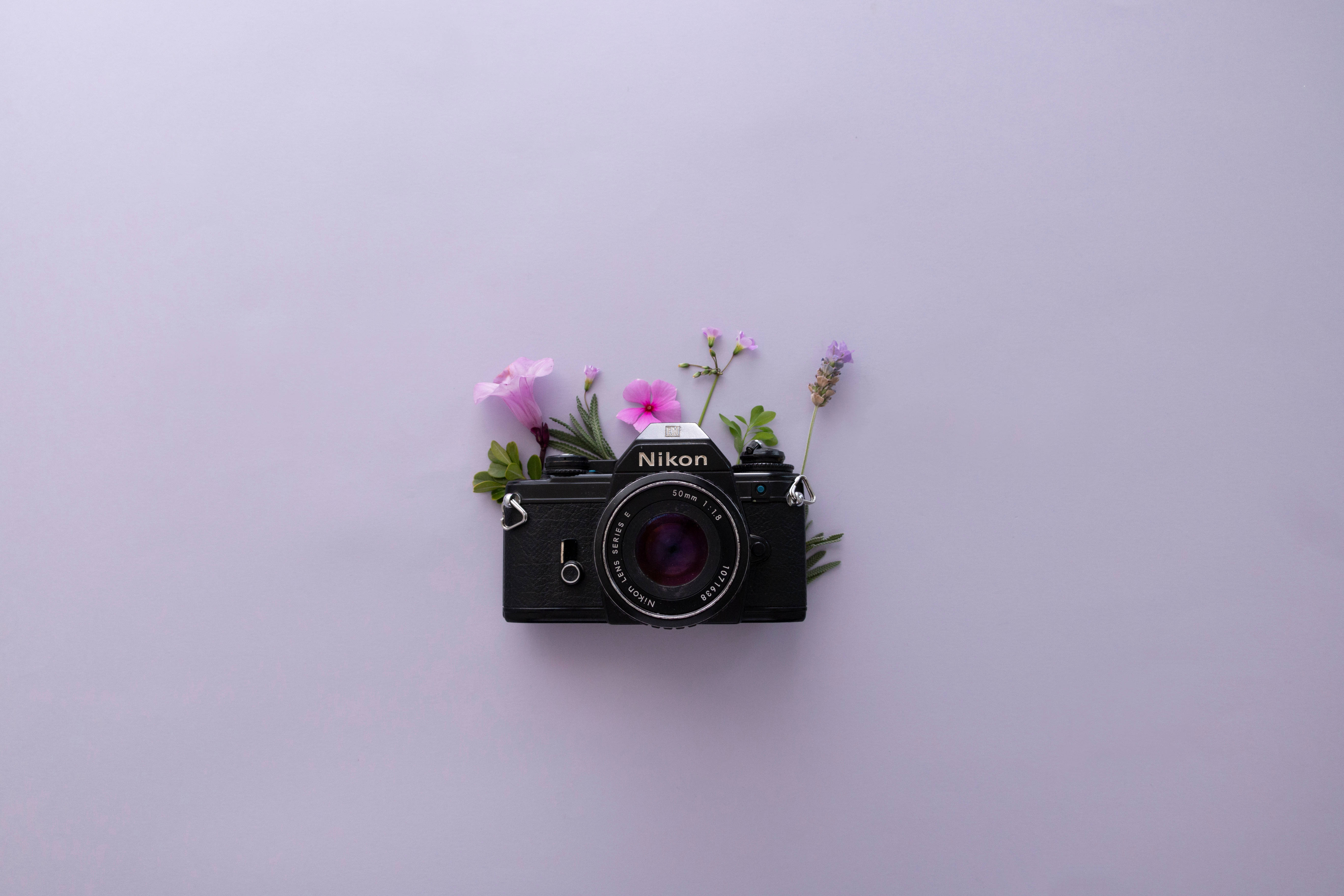 Download Lavender Aesthetic And Nikon Camera Wallpaper