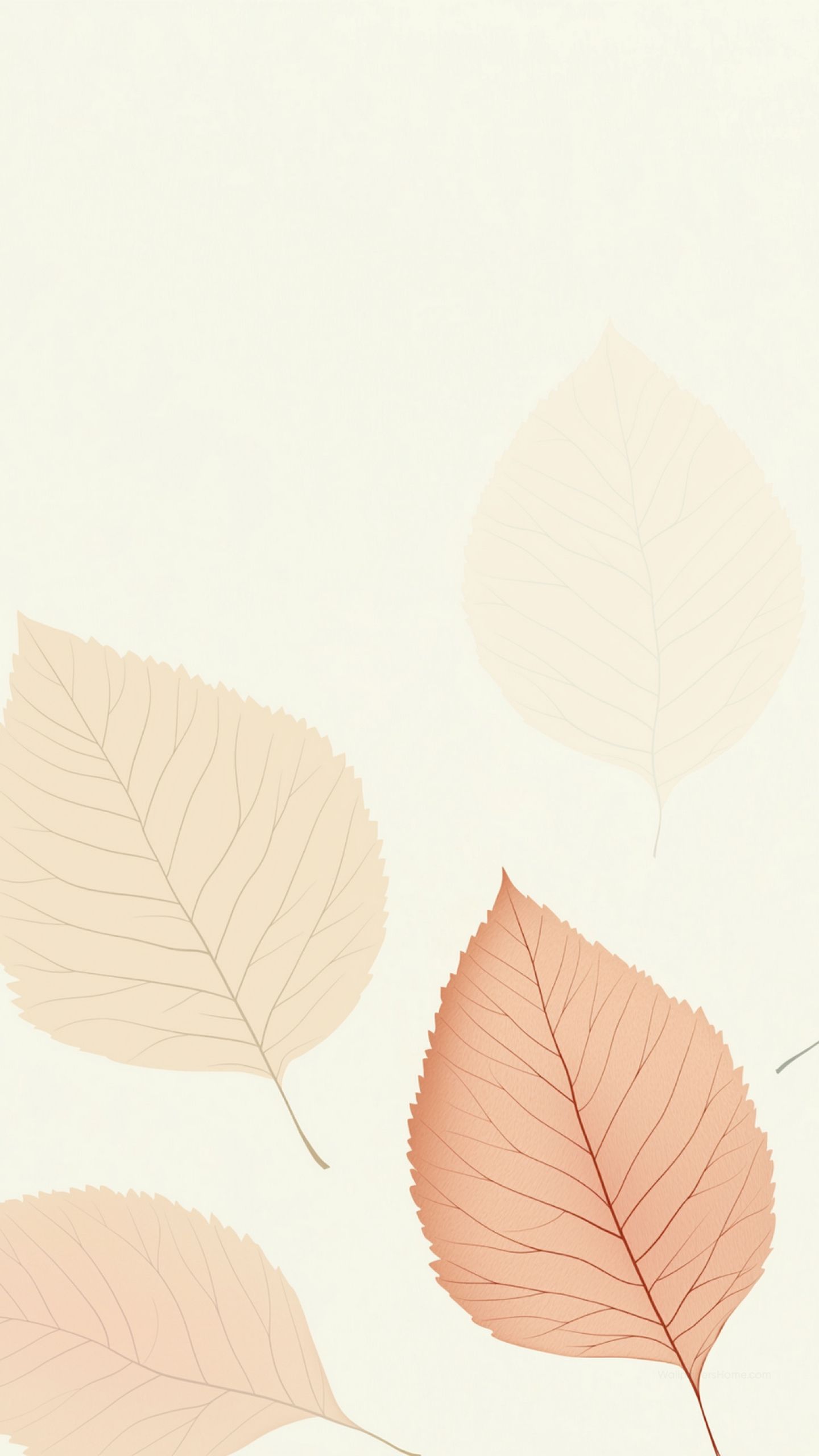 Leaves Wallpaper, Minimal