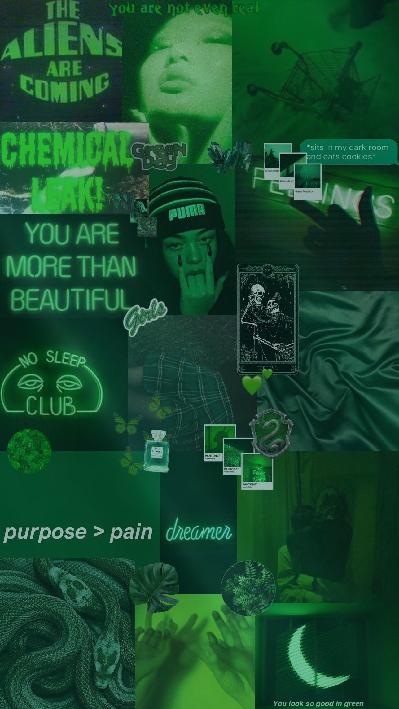 Dark Green Aesthetic Wallpaper. Dark green aesthetic, Pretty wallpaper background, Green aesthetic