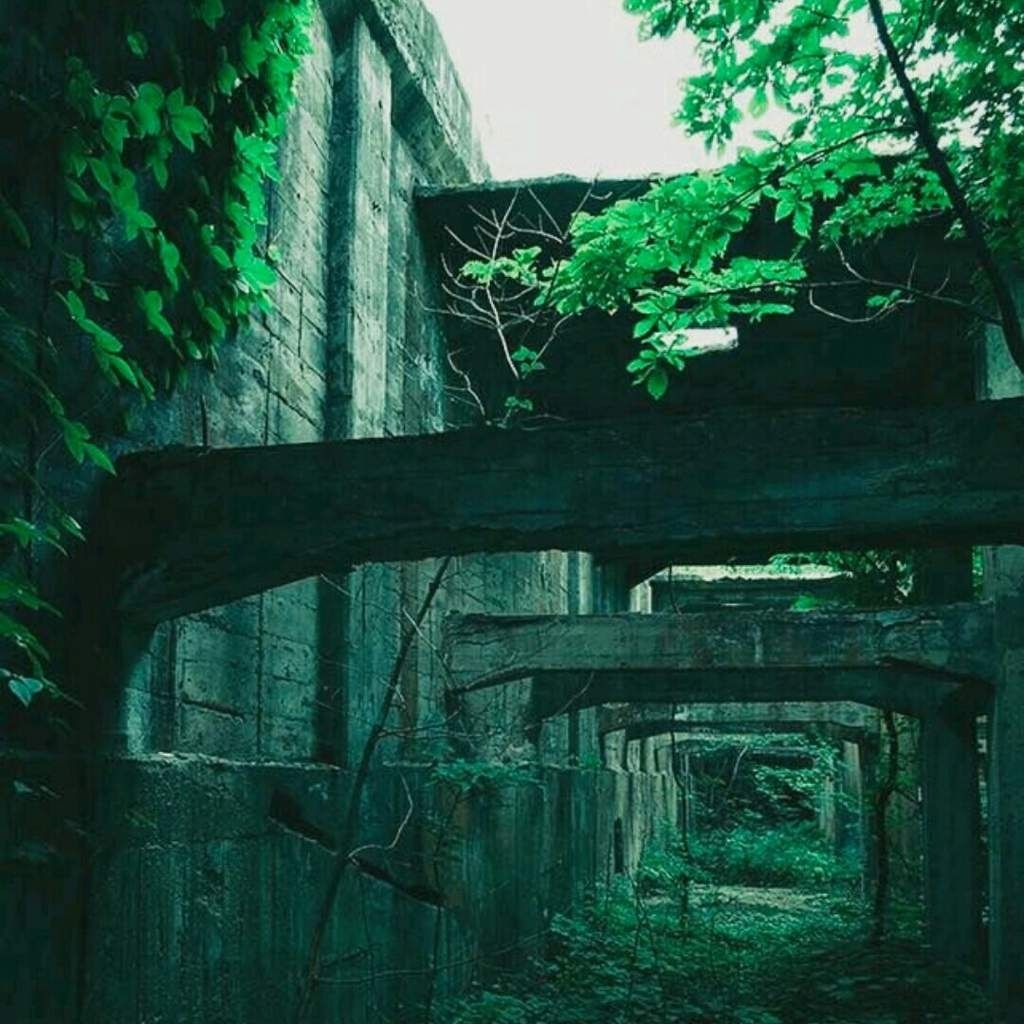 A dark and eerie tunnel with greenery - Dark green