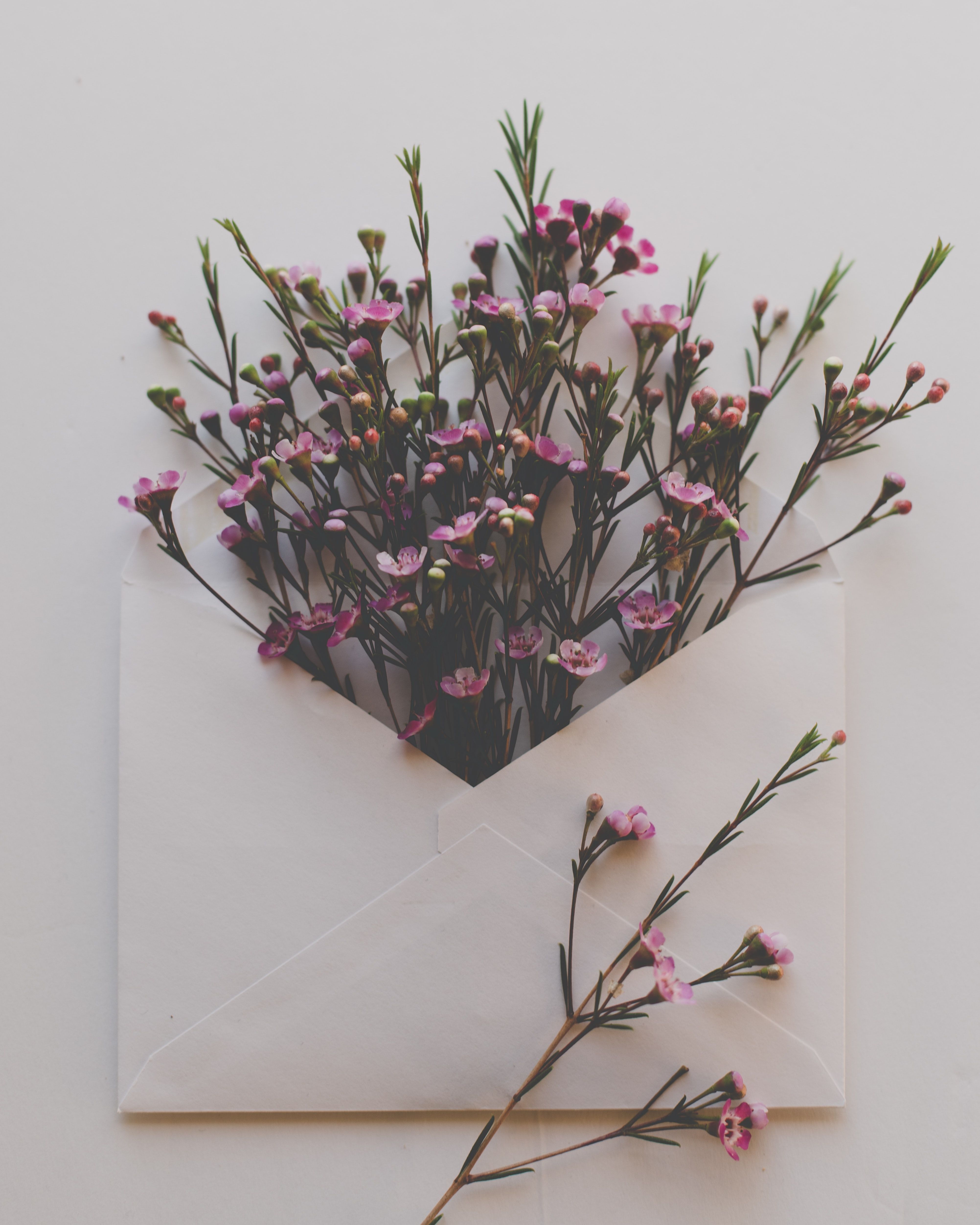 Flat Lay Flowers Stock Image