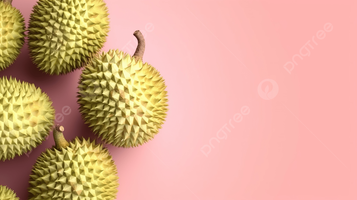 Durian Fruit On Pink Background