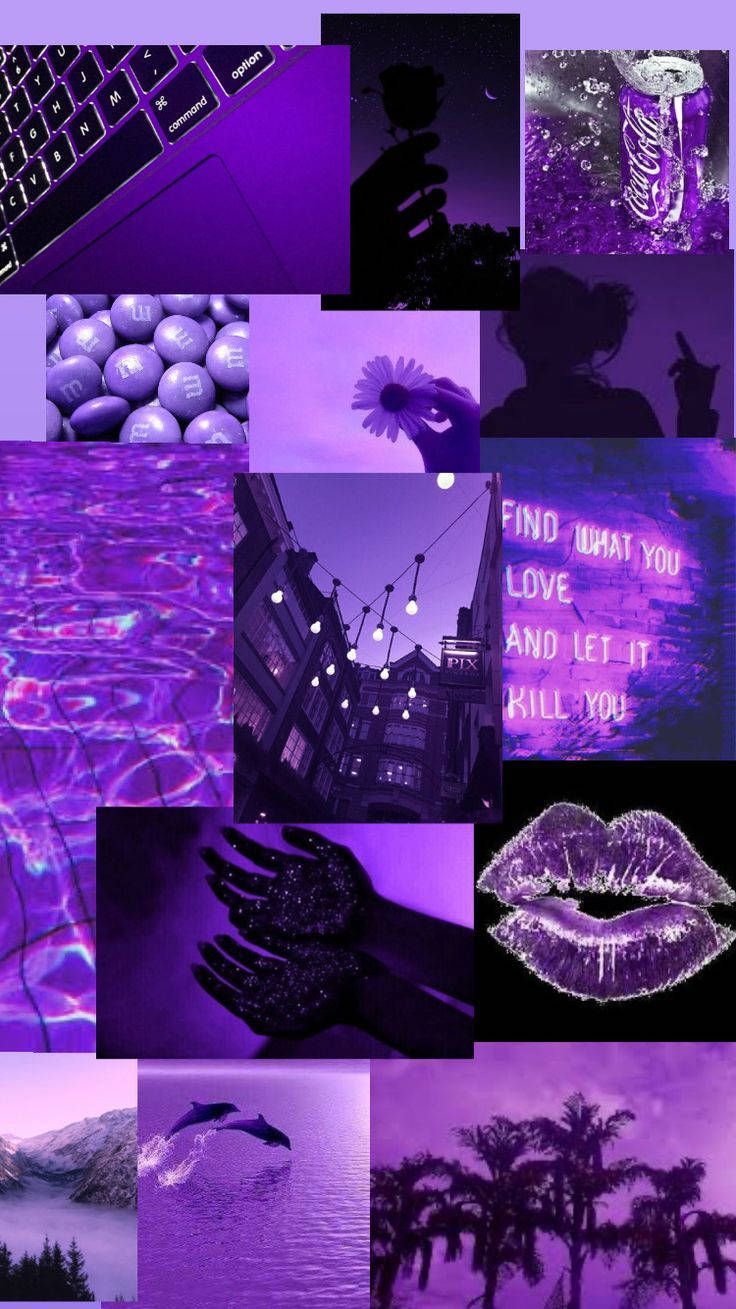 Purple