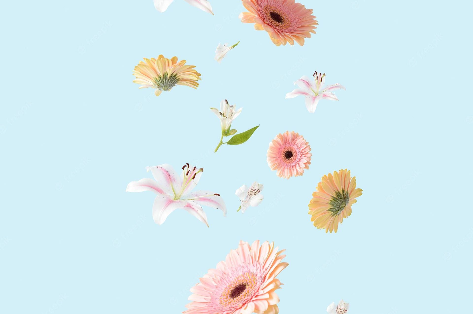 Download Lovely Aesthetic Spring iPhone