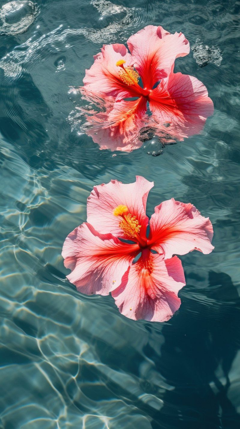 Tropical Flower Beach iPhone Wallpaper