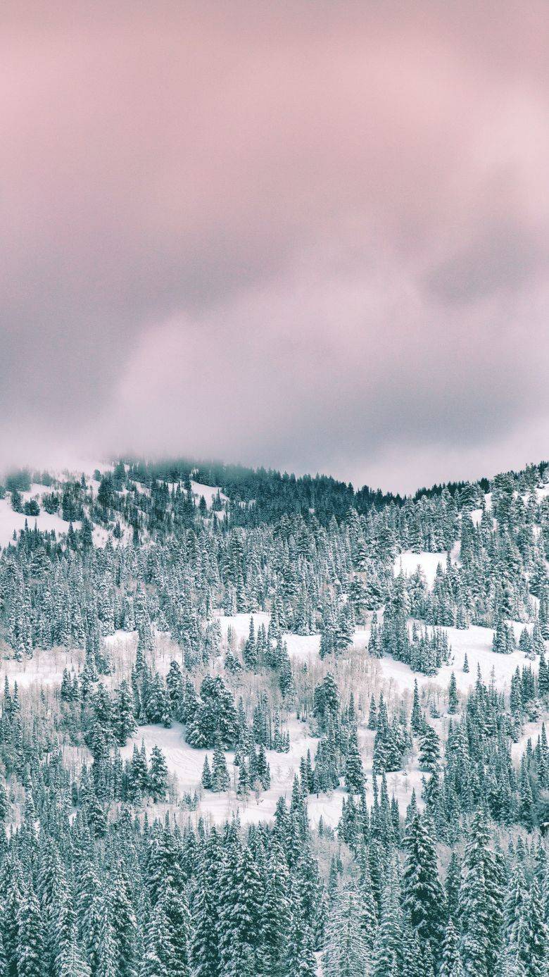 Winter Wallpaper For IPhone