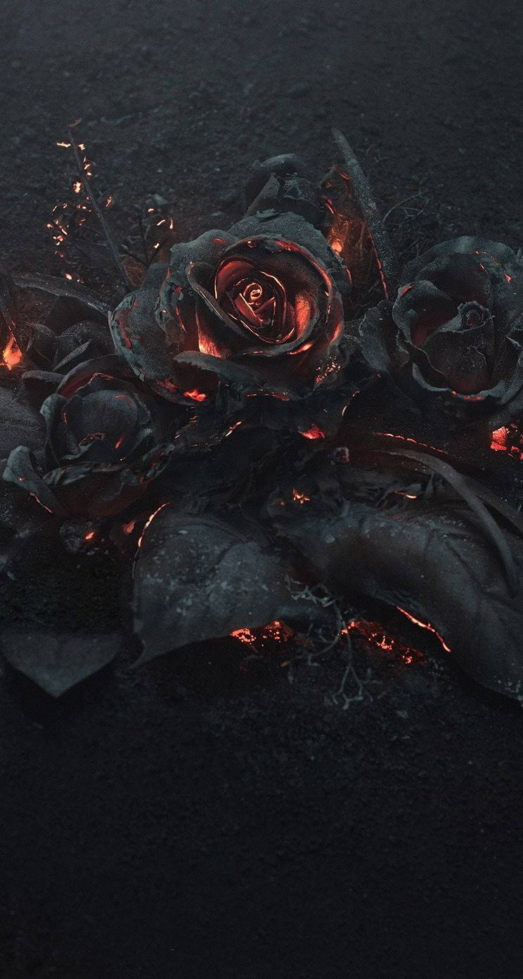 Download Burning Black Rose Aesthetic Wallpaper