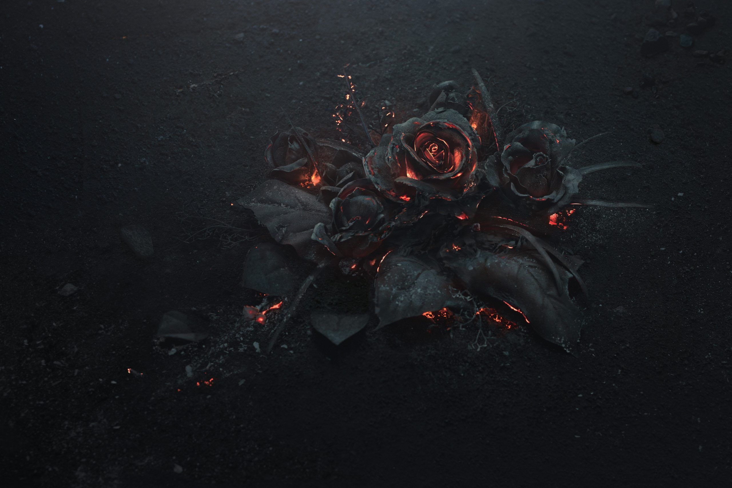 A bouquet of roses burns on the ground - Black rose