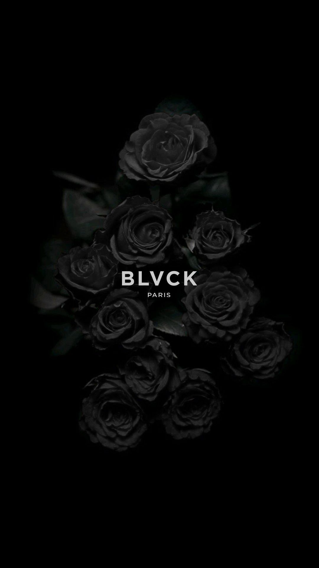 Black roses on a dark background with the word blck - Black rose