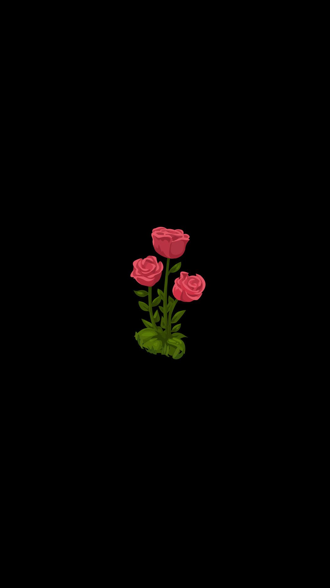 A picture of four roses on a black background - Black rose