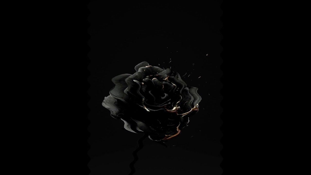 A black rose with a gold stem and gold leaves on a black background - Black rose