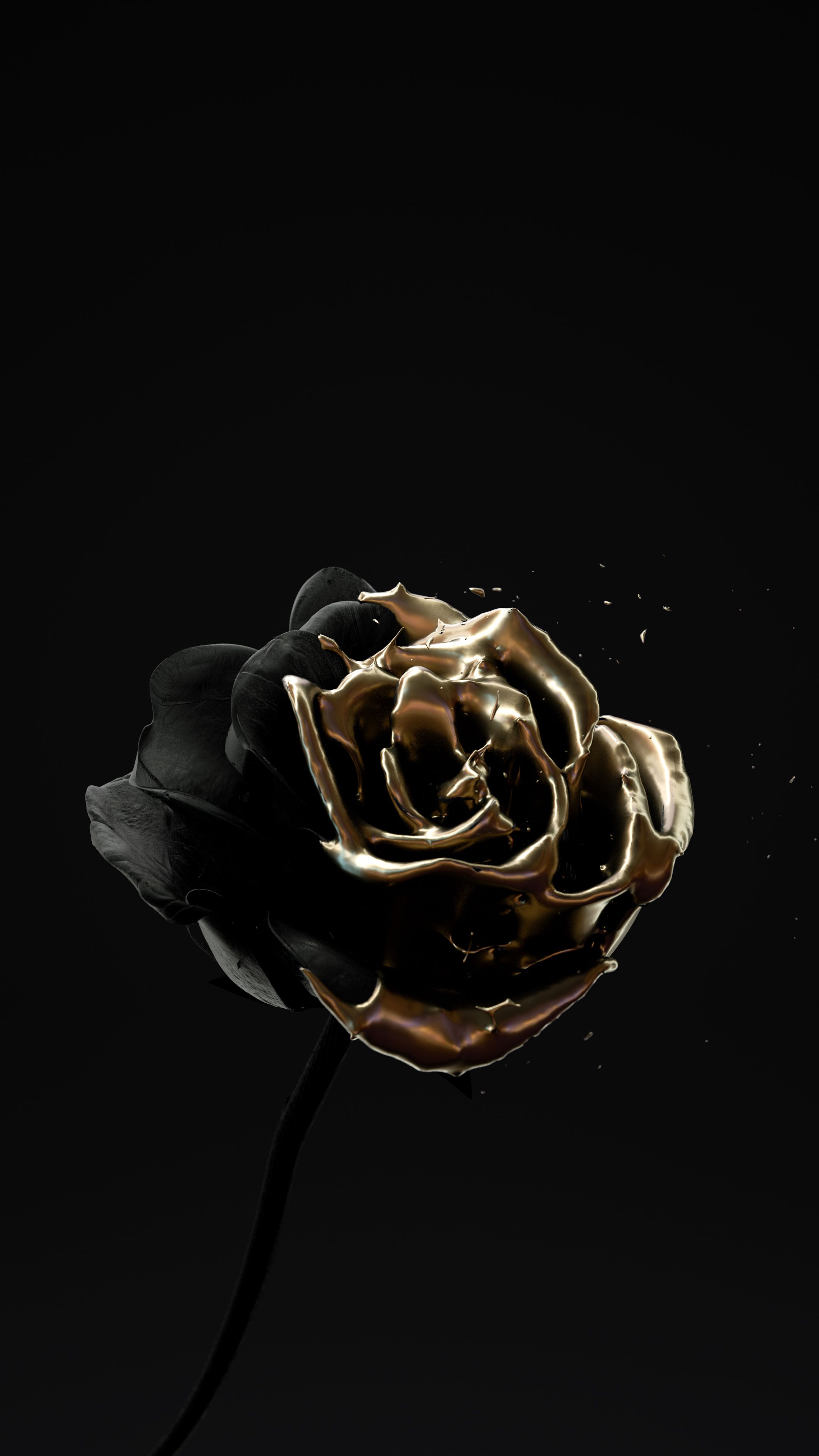 A black and gold rose on top of the ground - Black rose