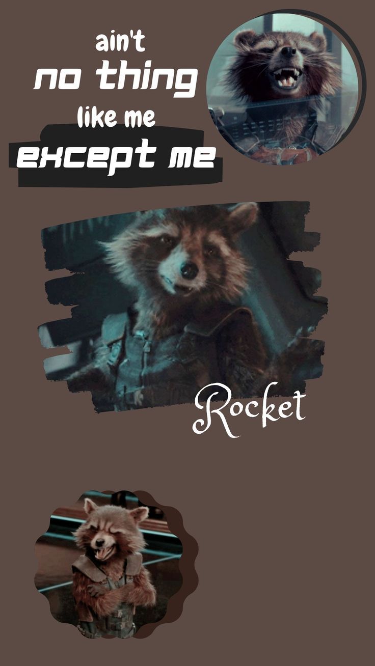 Rocket Raccoon Wallpaper