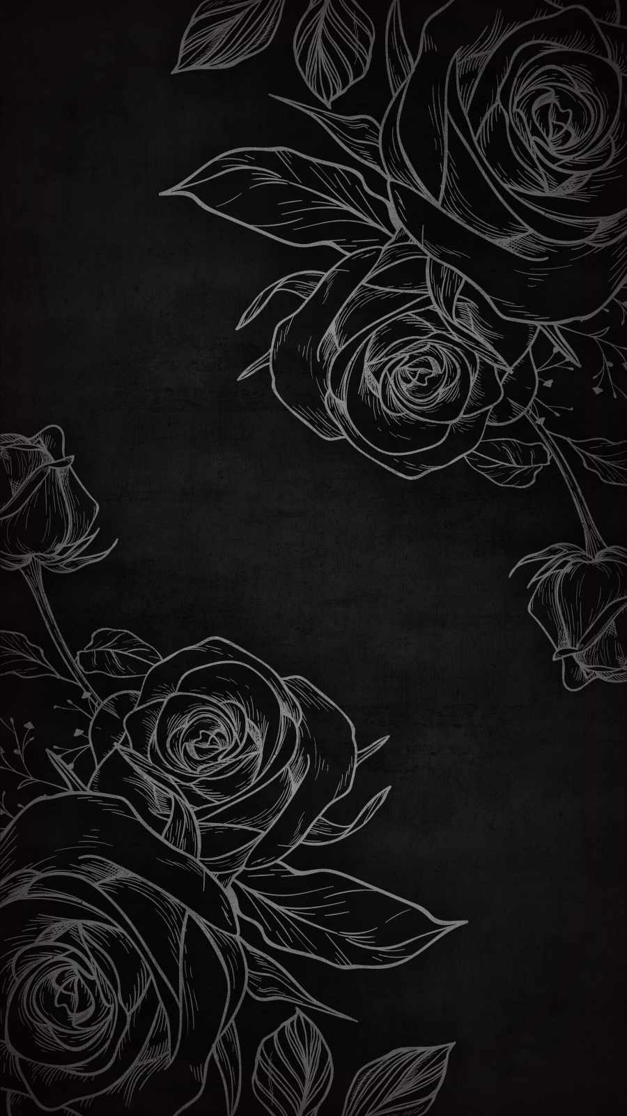 A chalkboard rose background - Black rose