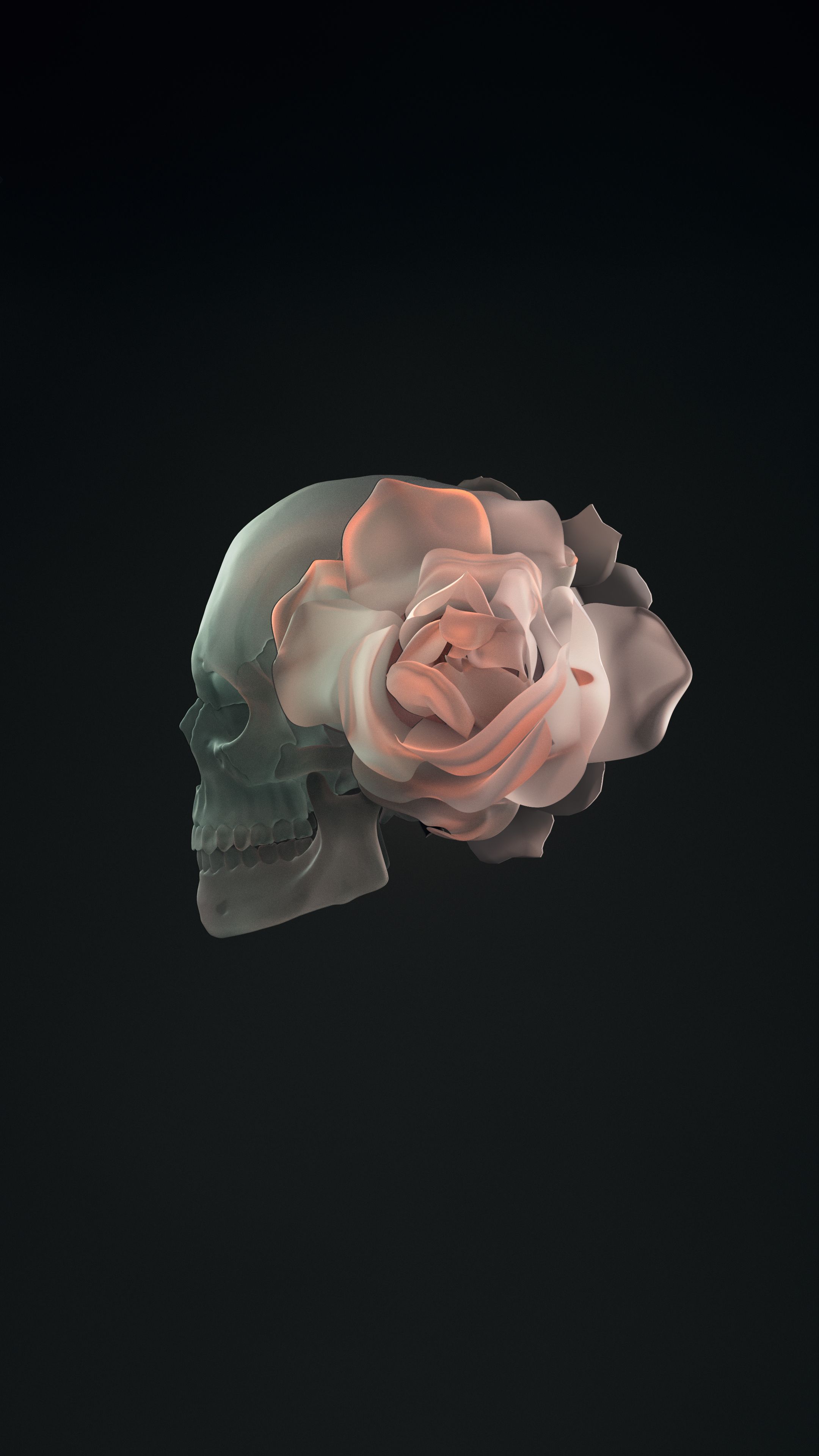 A skull with a rose on top of it. - Black rose