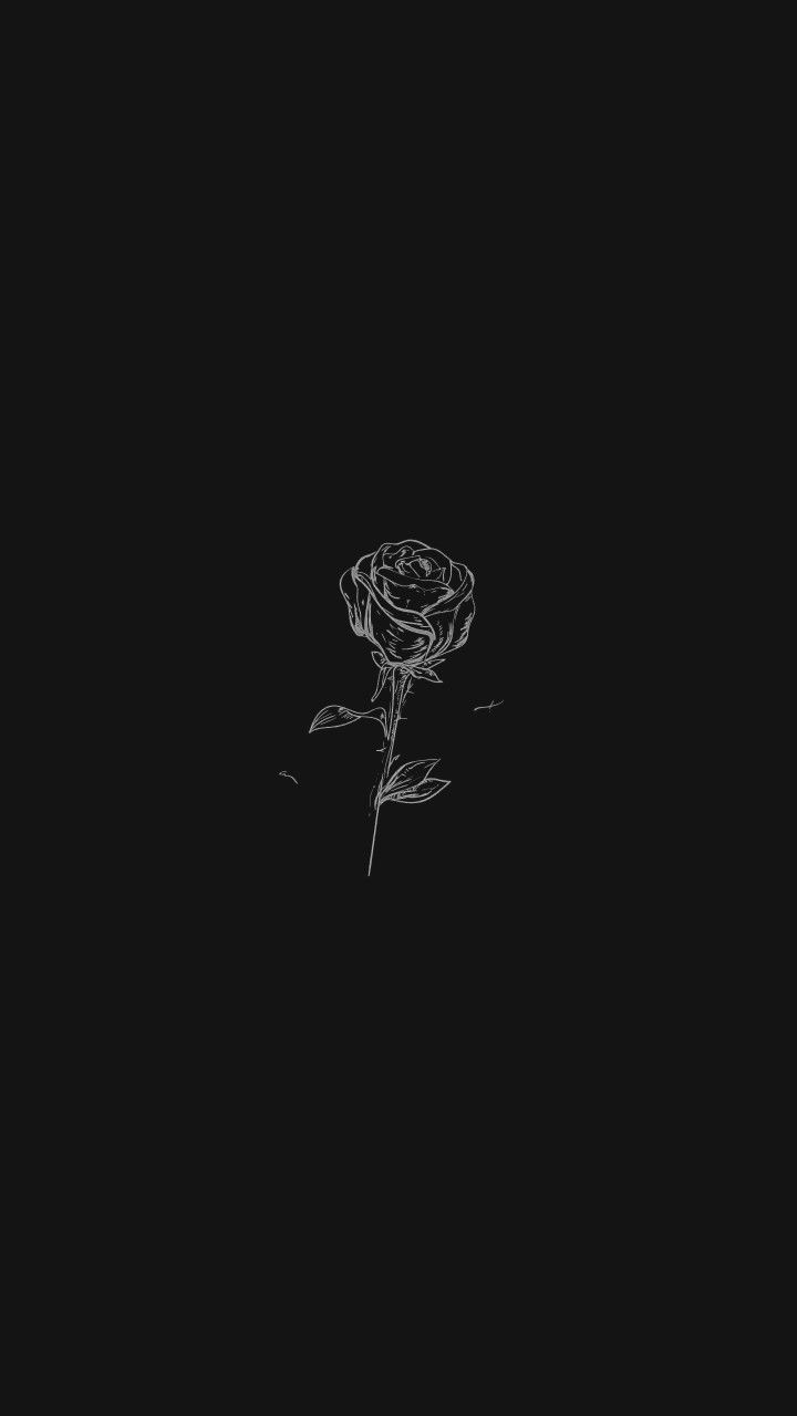 Aesthetic wallpaper for phone with black background and white rose - Black rose