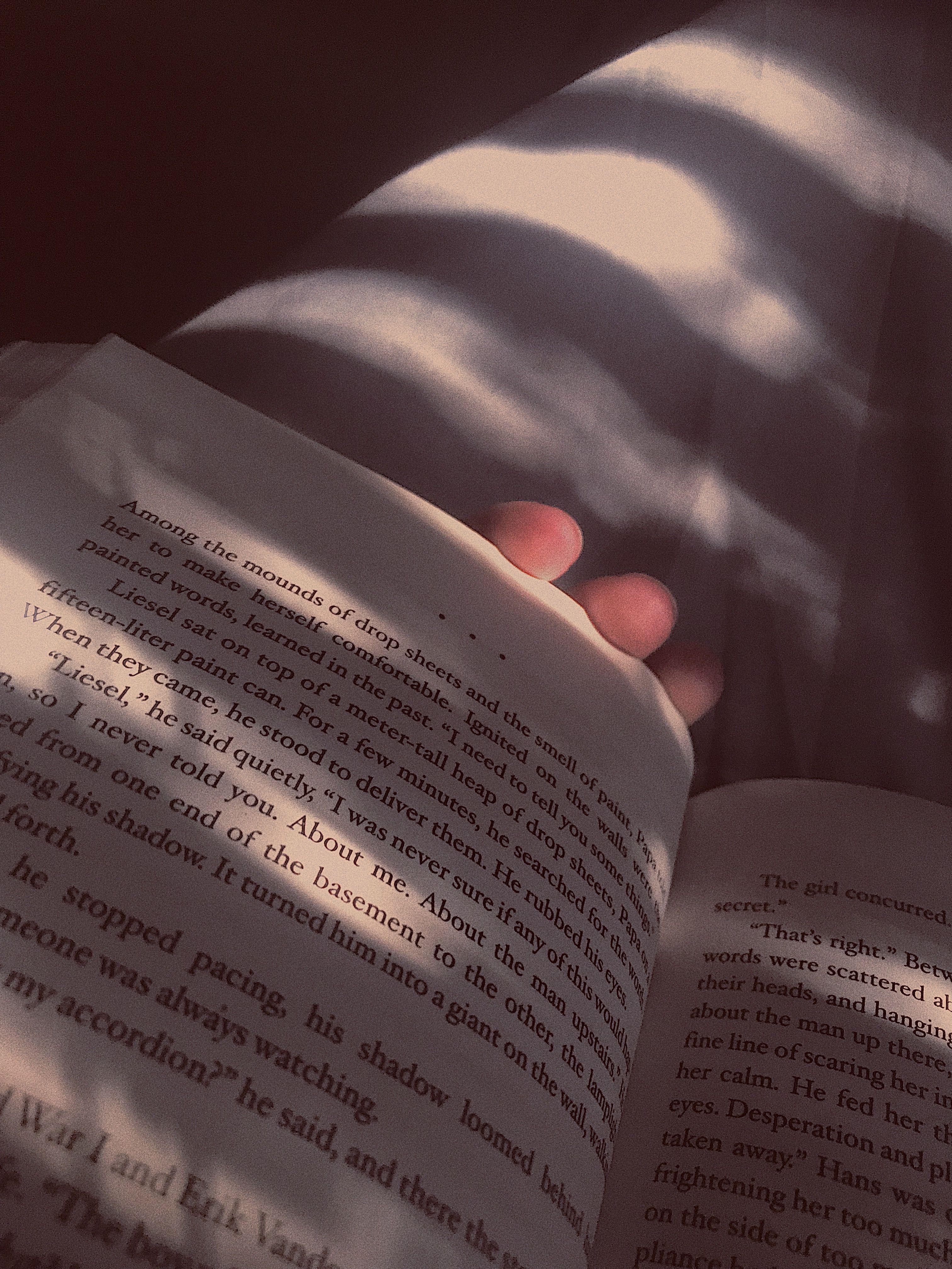 A person's hand holding an open book with the sun shining through a window. - Books, sunlight