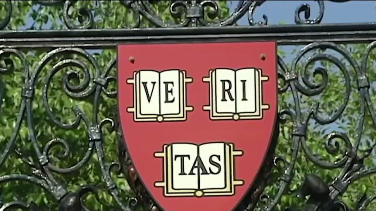 Harvard president apologizes