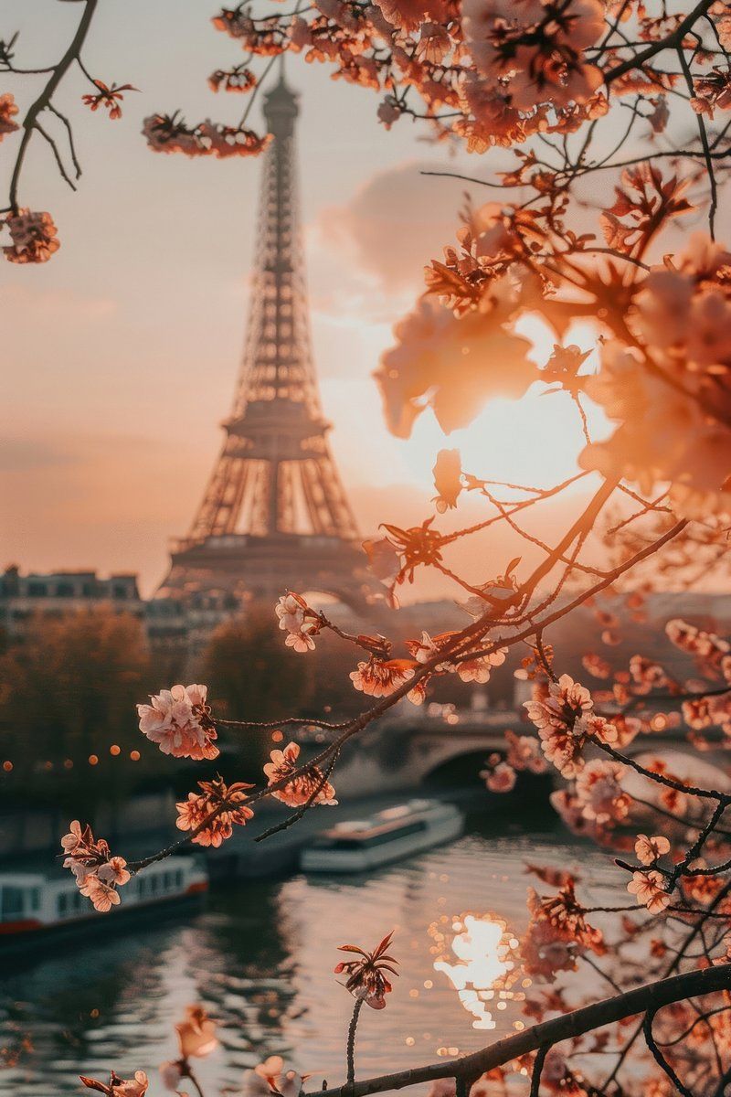 Paris Wallpaper Image. Free Photo