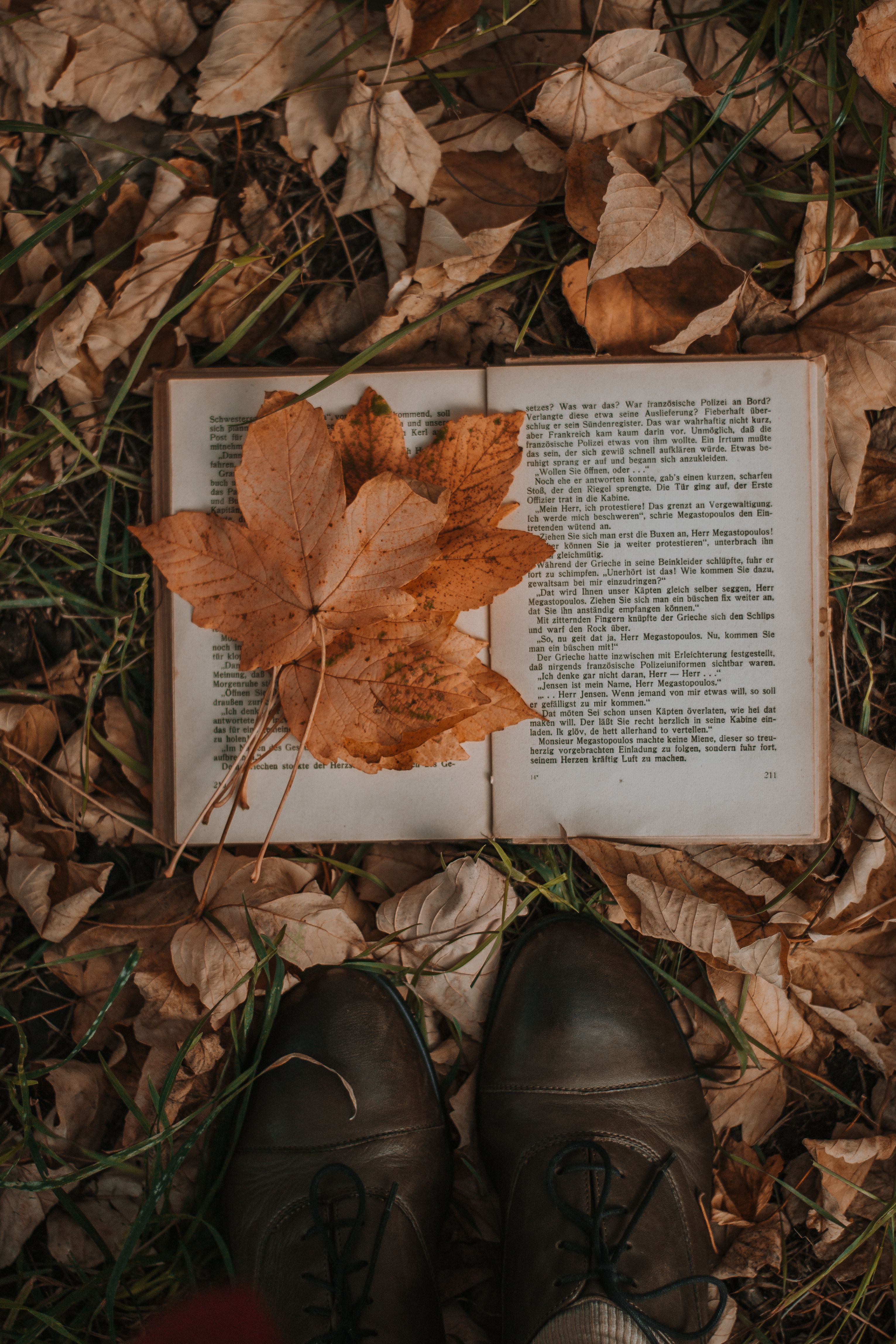 A book is laying on the ground with leaves - Vintage fall