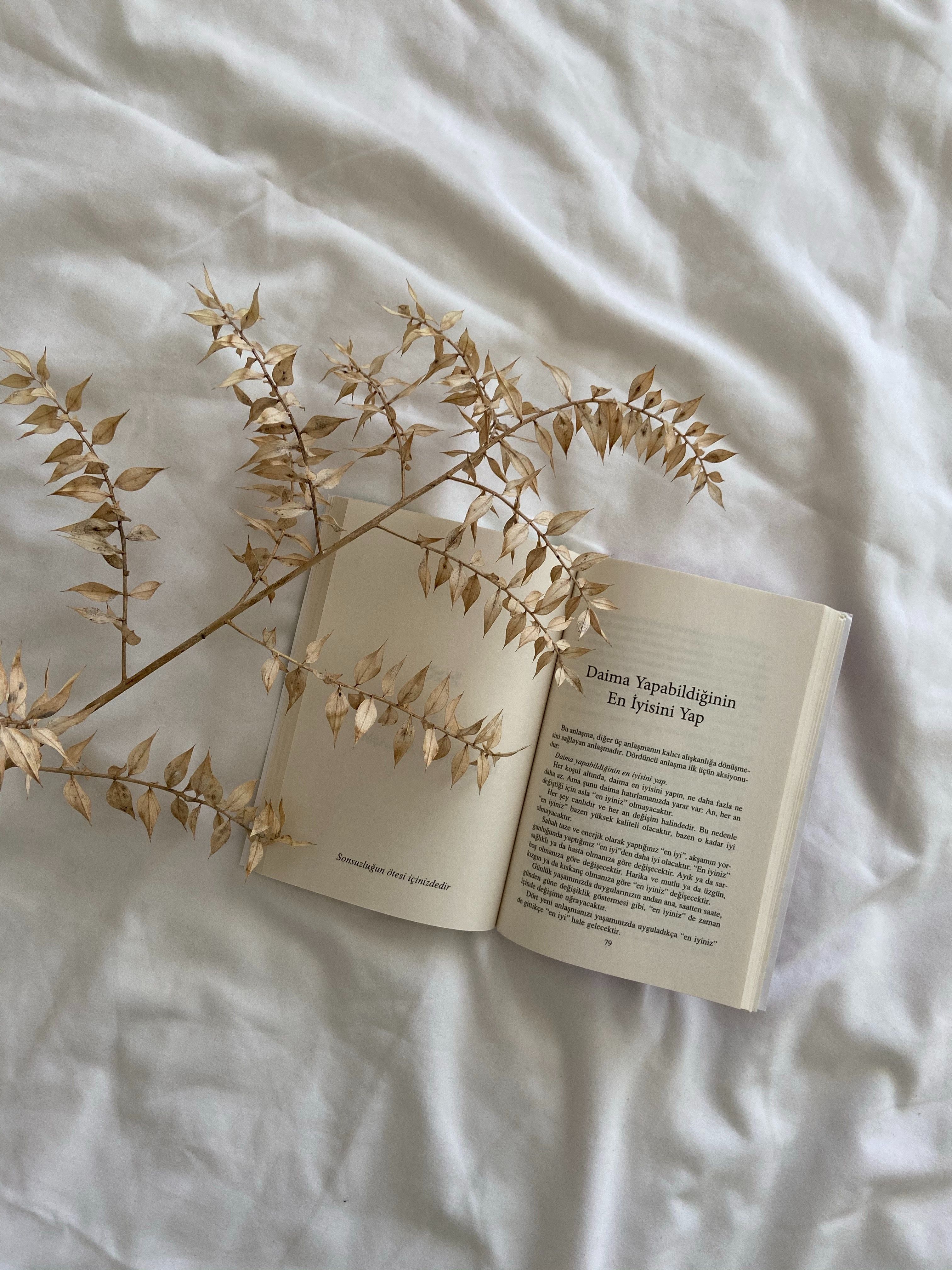 Book Aesthetic Photo, Download Free Book Aesthetic & HD Image