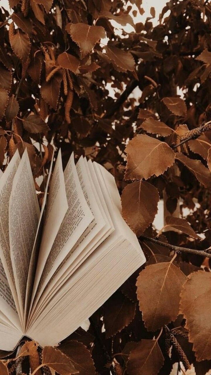 An open book on a bed of leaves. - Vintage fall