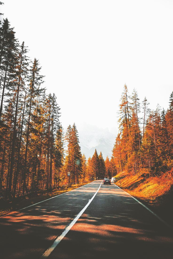 Driving on the beautiful roads of South Tyrol. iPhone wallpaper fall, Fall wallpaper, iPhone wallpaper vintage