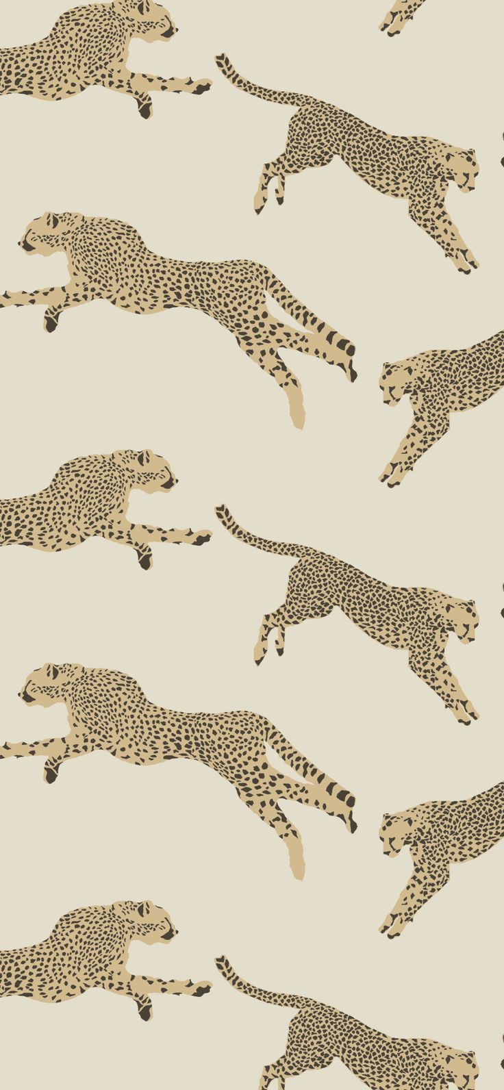 Cheetah print wallpaper, Cheetah print