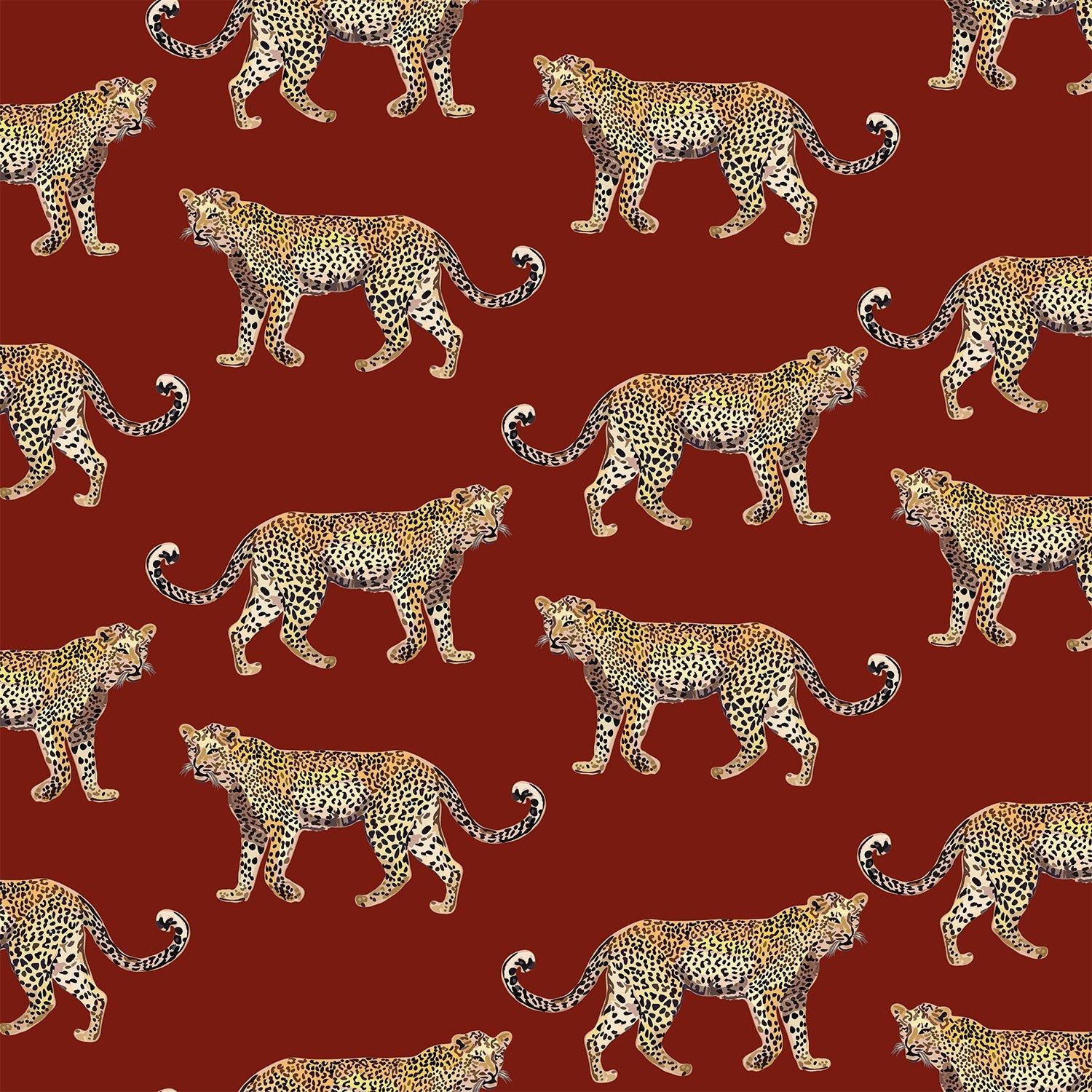 Cheetahs Traditional Wallpaper