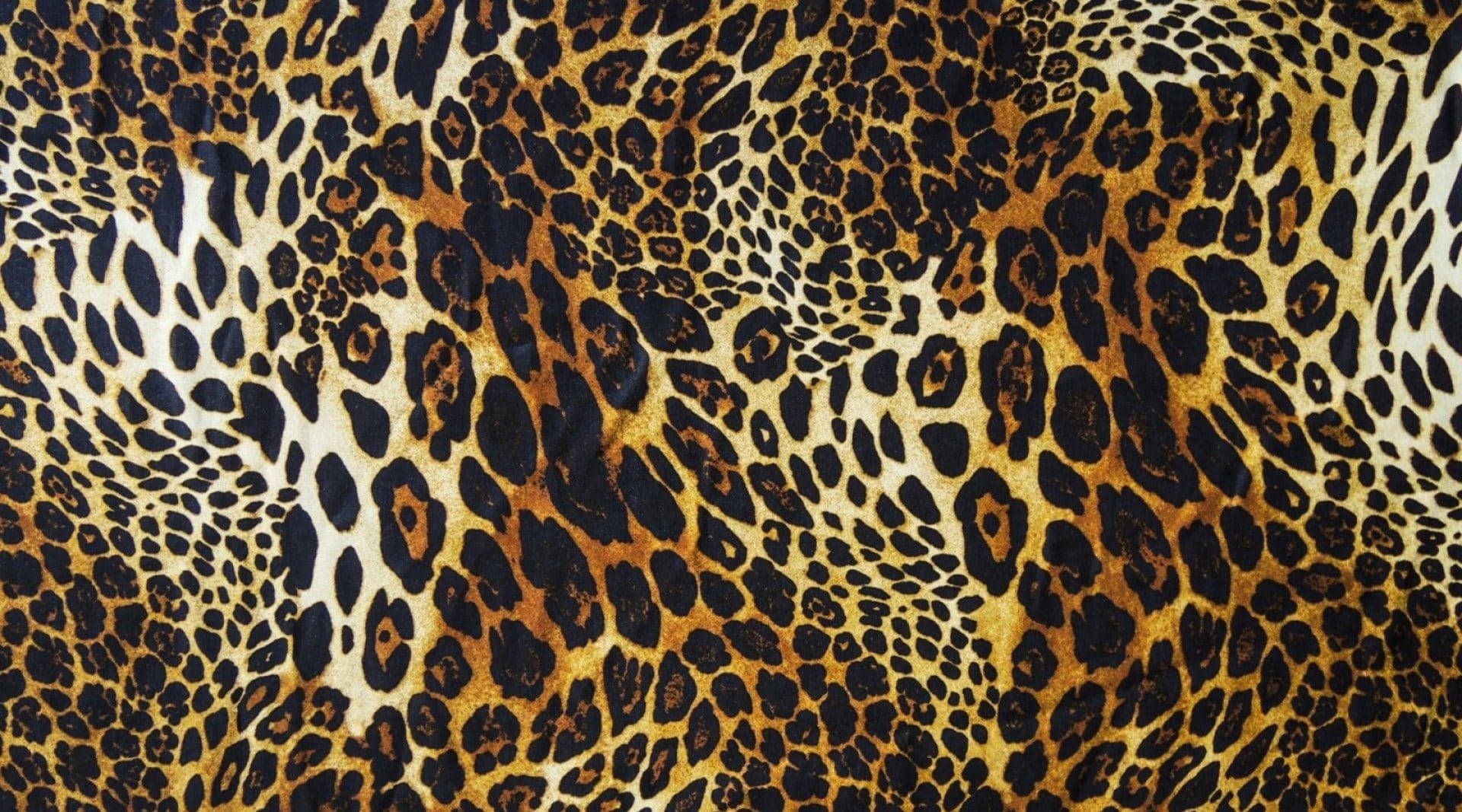 Leopard Background