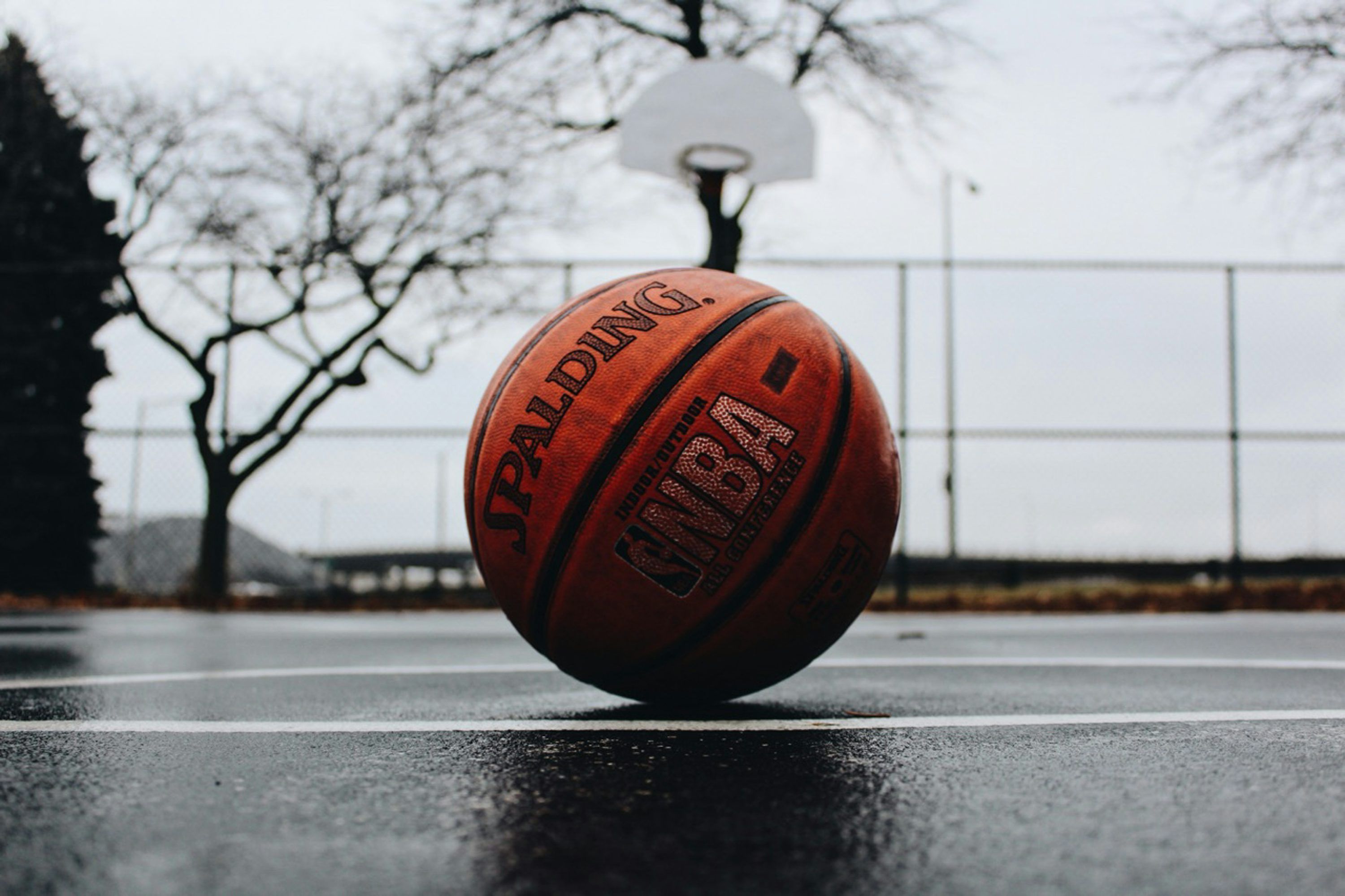 Basketball Wallpaper: Free HD Download