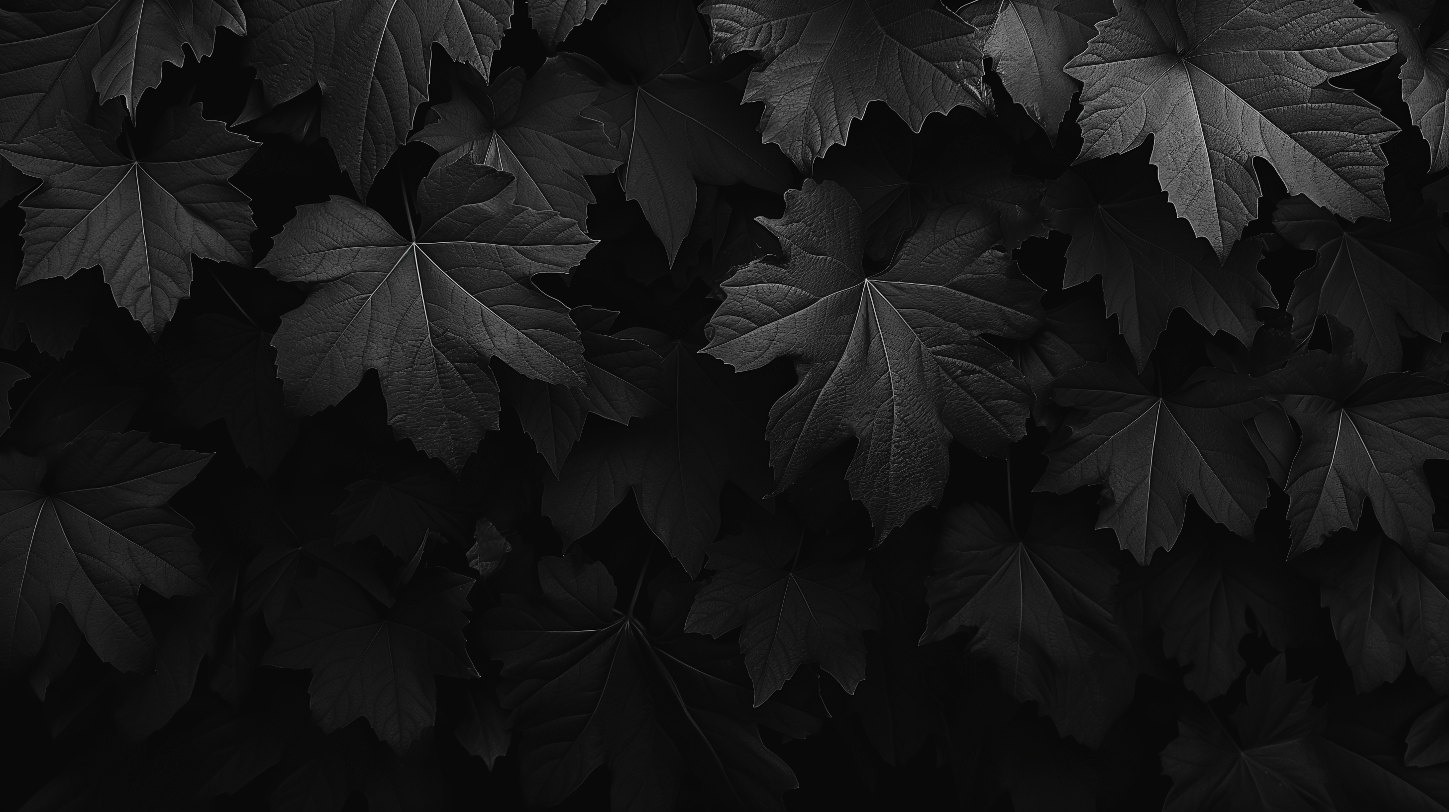 Dark Aesthetic Wallpaper