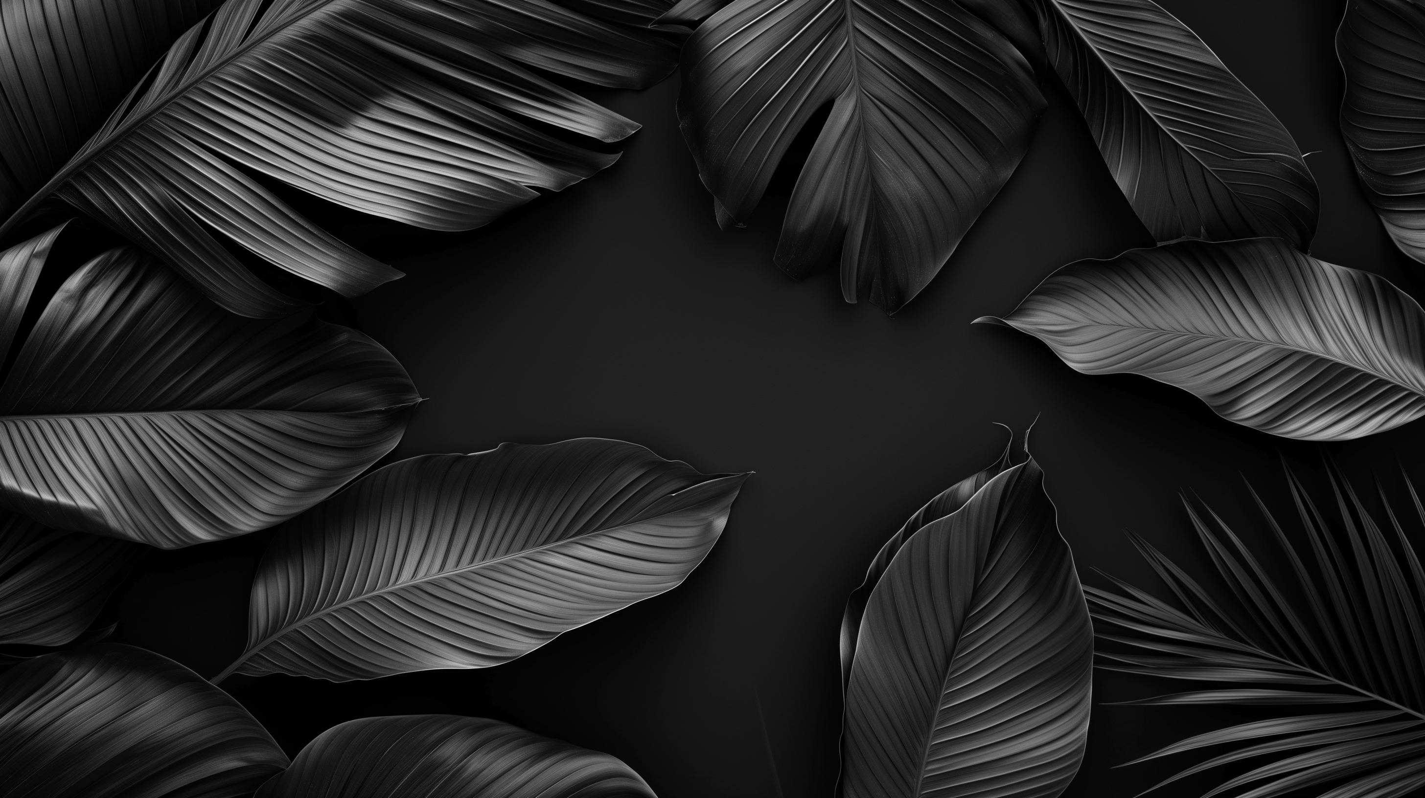 Dark Monochrome Leaves HD Wallpaper