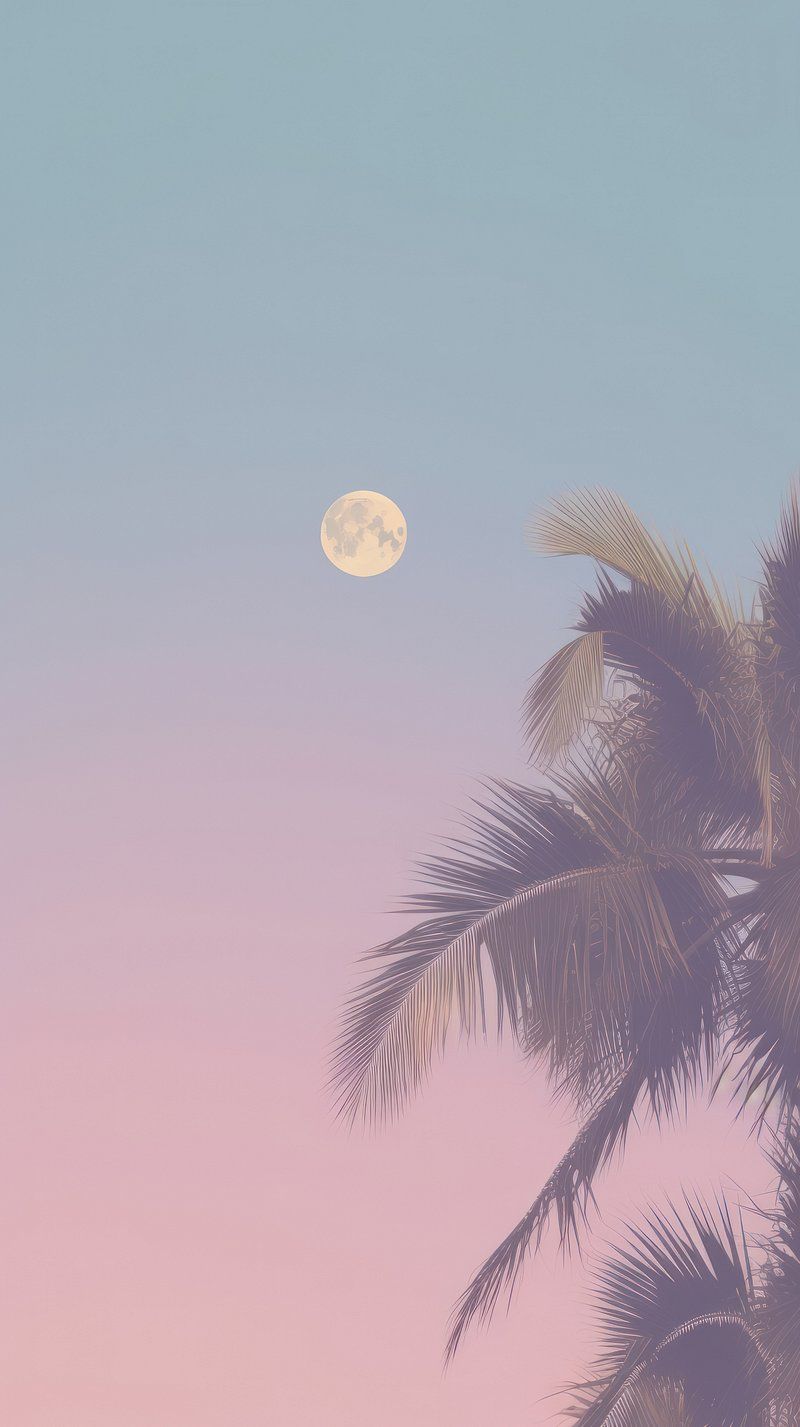 Wallpaper Background Pink Palm Trees