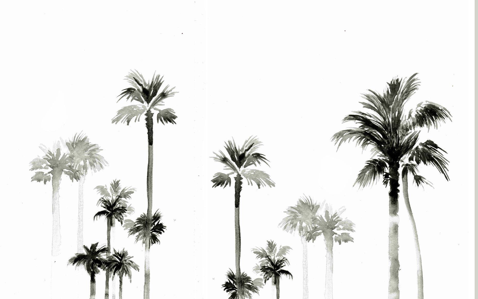 Download Summer Aesthetic Palm Trees