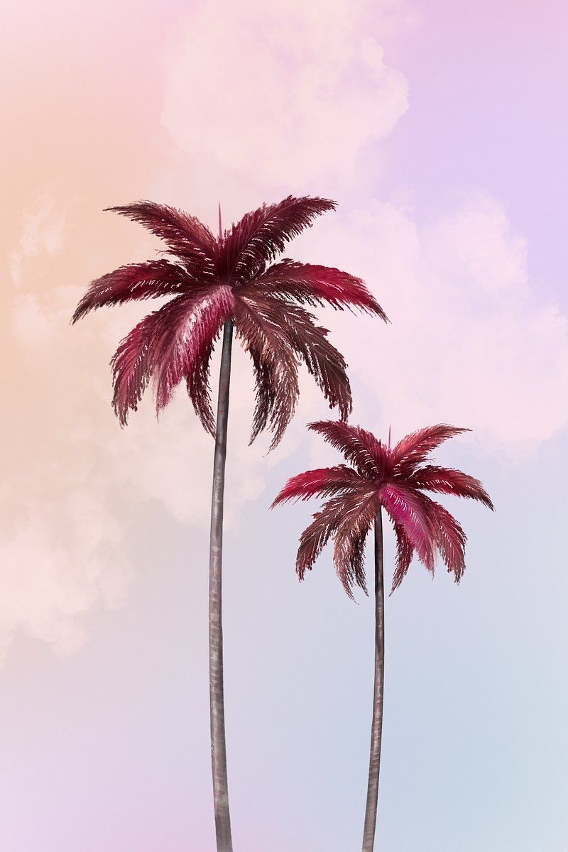 Aesthetic background with palm tree