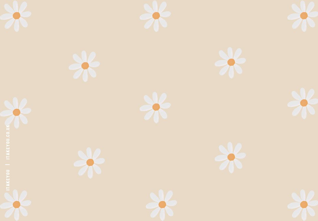 Daisy Wallpaper for iPad