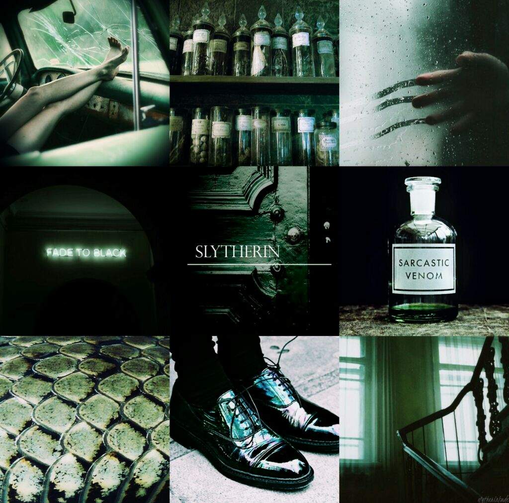 Slytherin Aesthetic. Harry Potter Amino