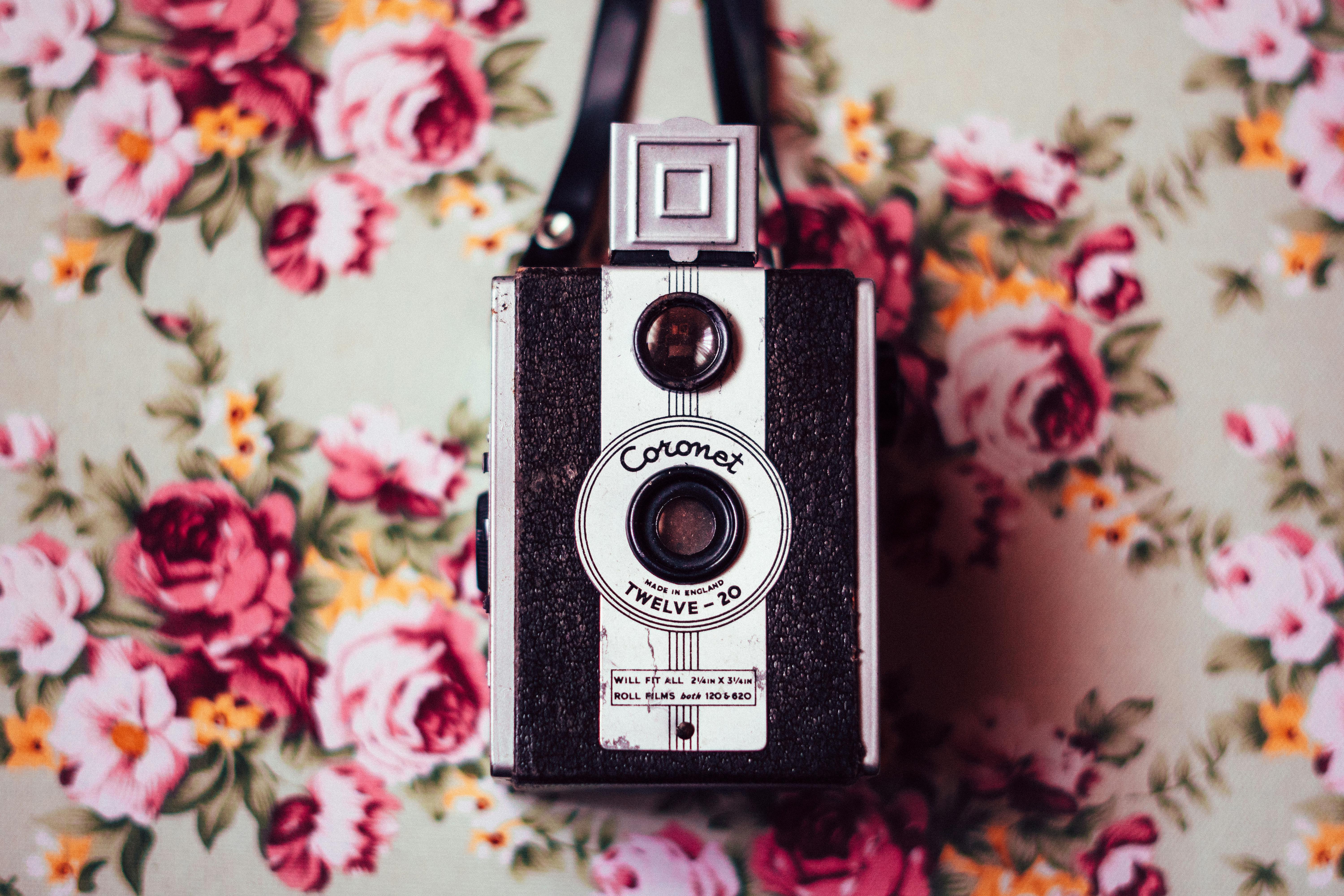 Vintage Aesthetic Photo, Download