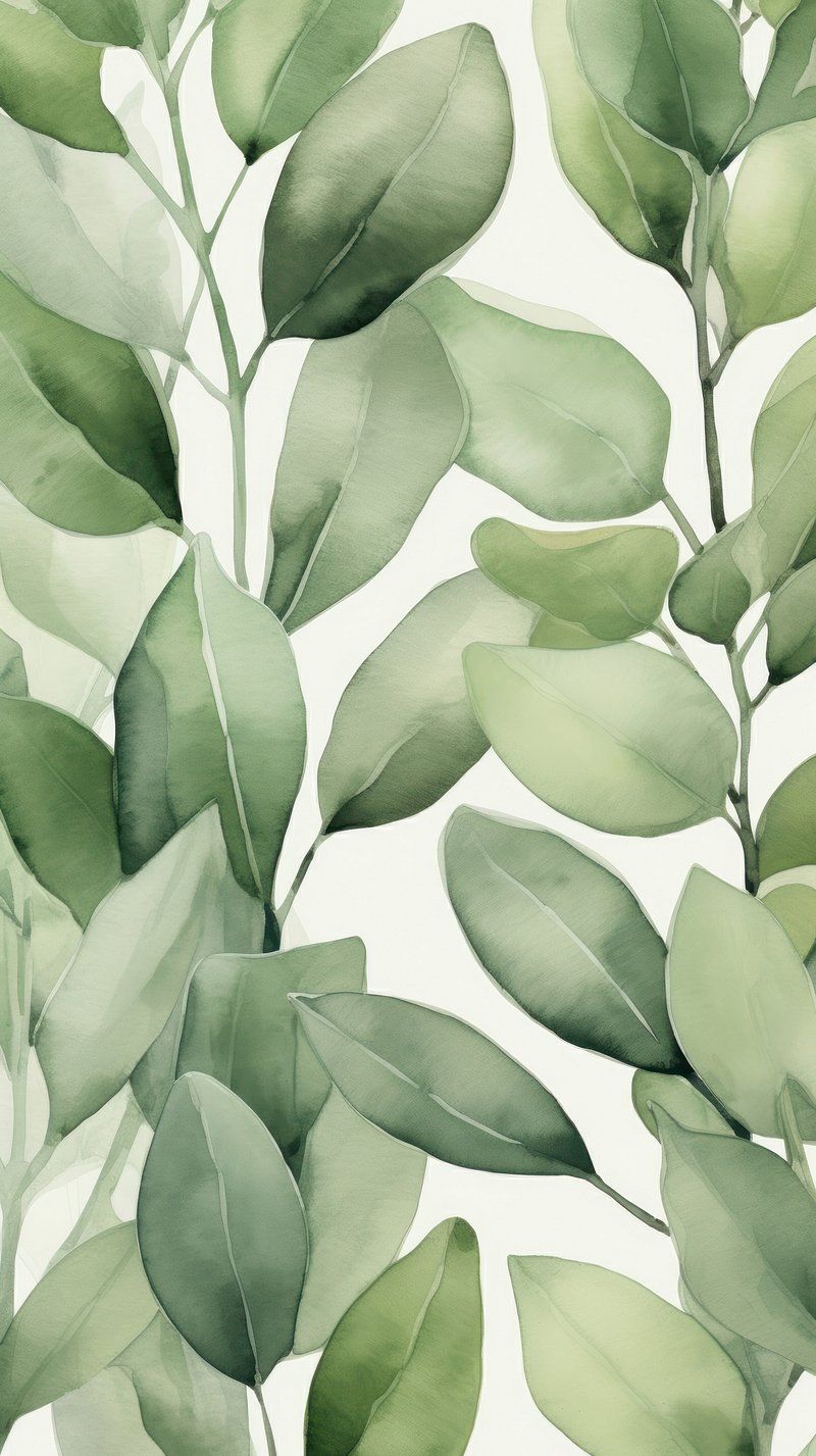 Sage Green Wallpaper Aesthetic Image