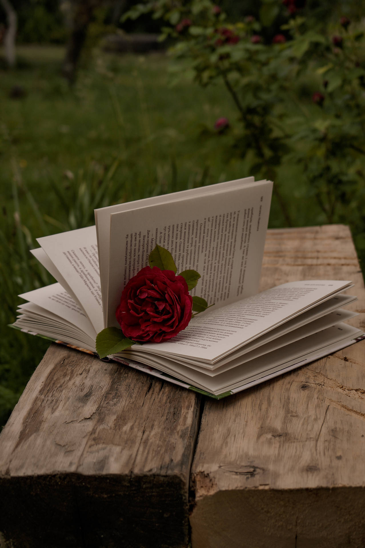 Download Green Aesthetic Open Book With Rose Wallpaper