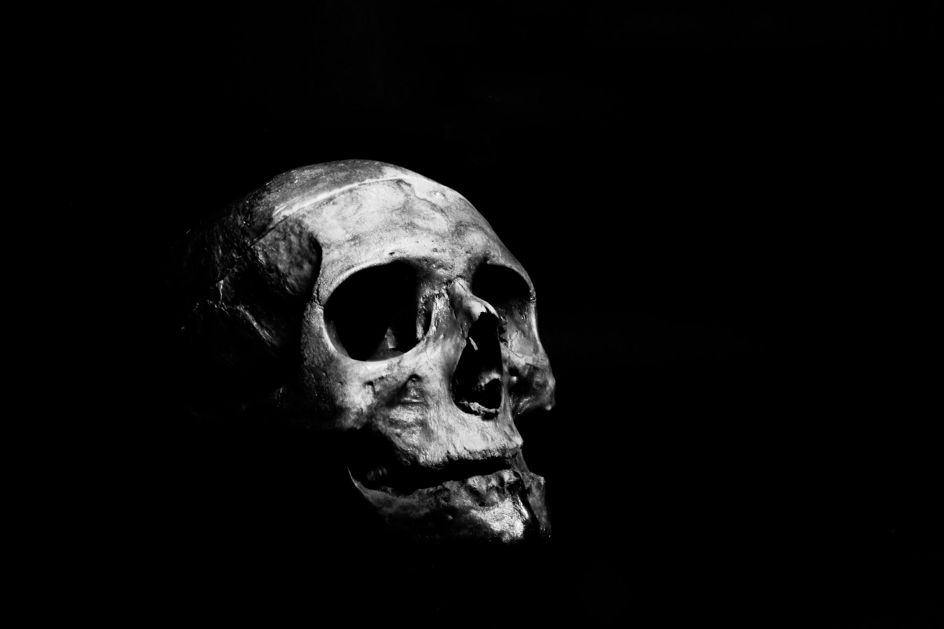 Skull Background Image: Download