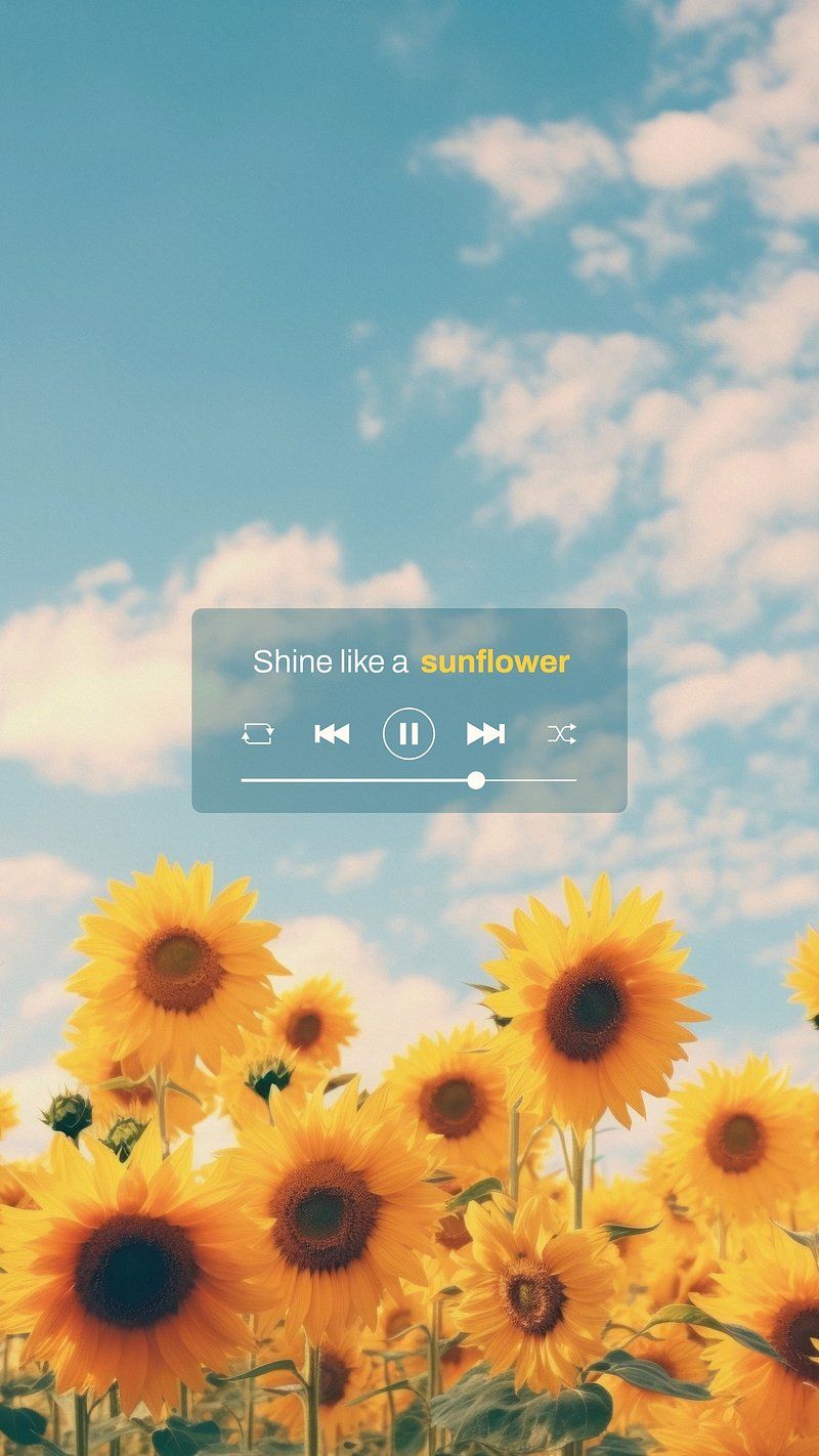 Aesthetic Sunflower Wallpaper iPhone