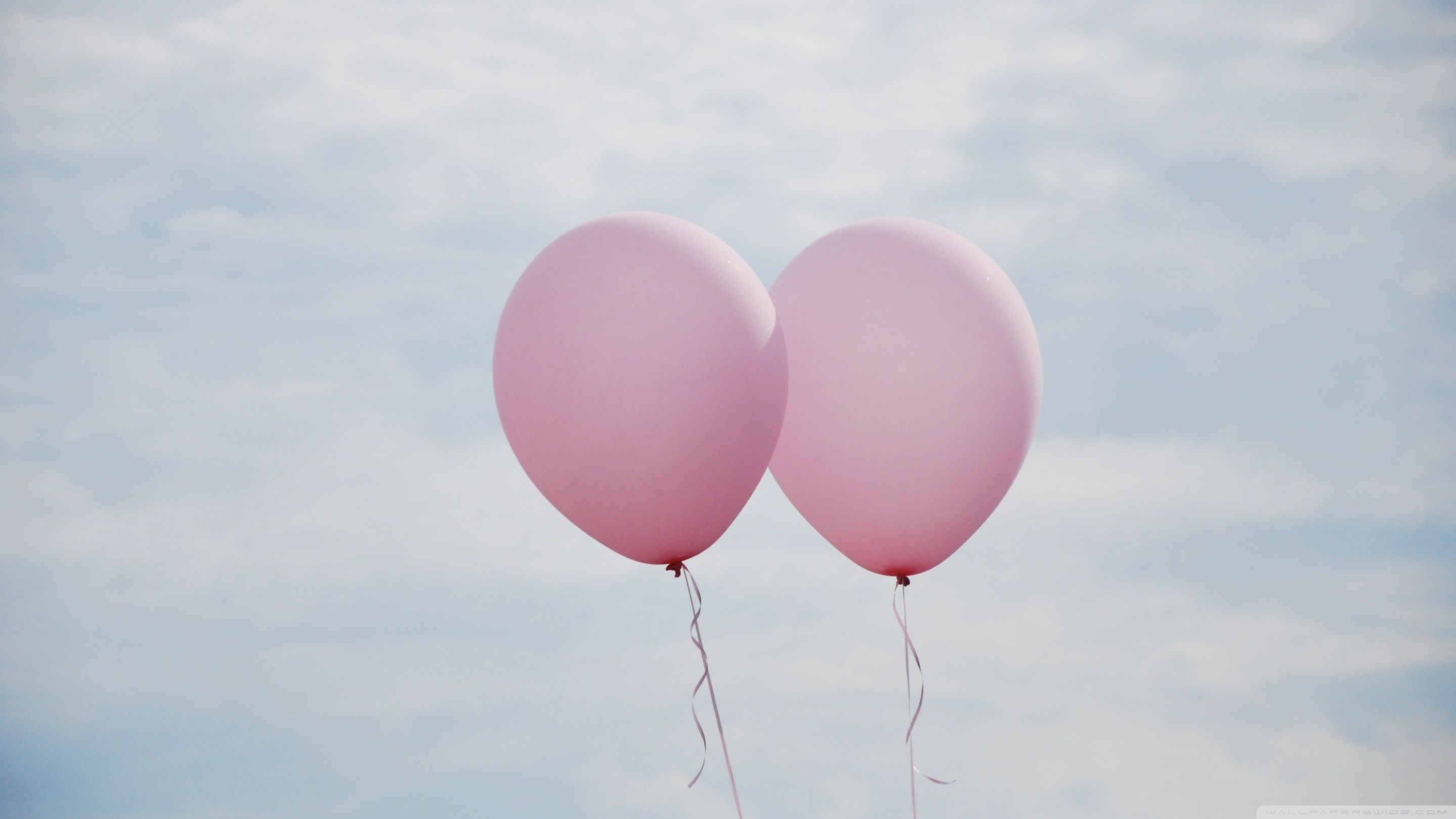 Pink Balloons Ultra HD Wallpaper for 4K