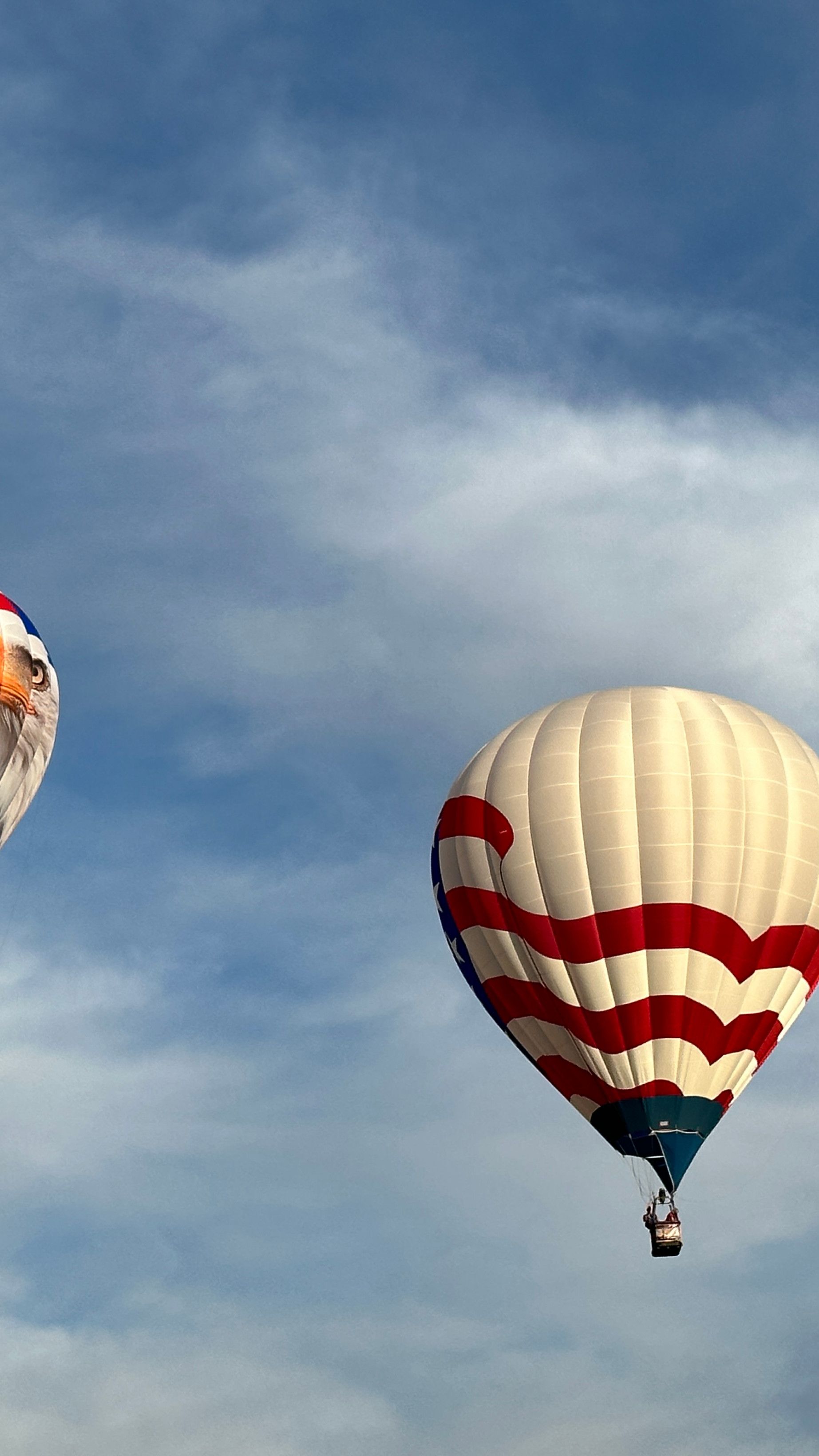 Spirit of Boise Balloon Classic