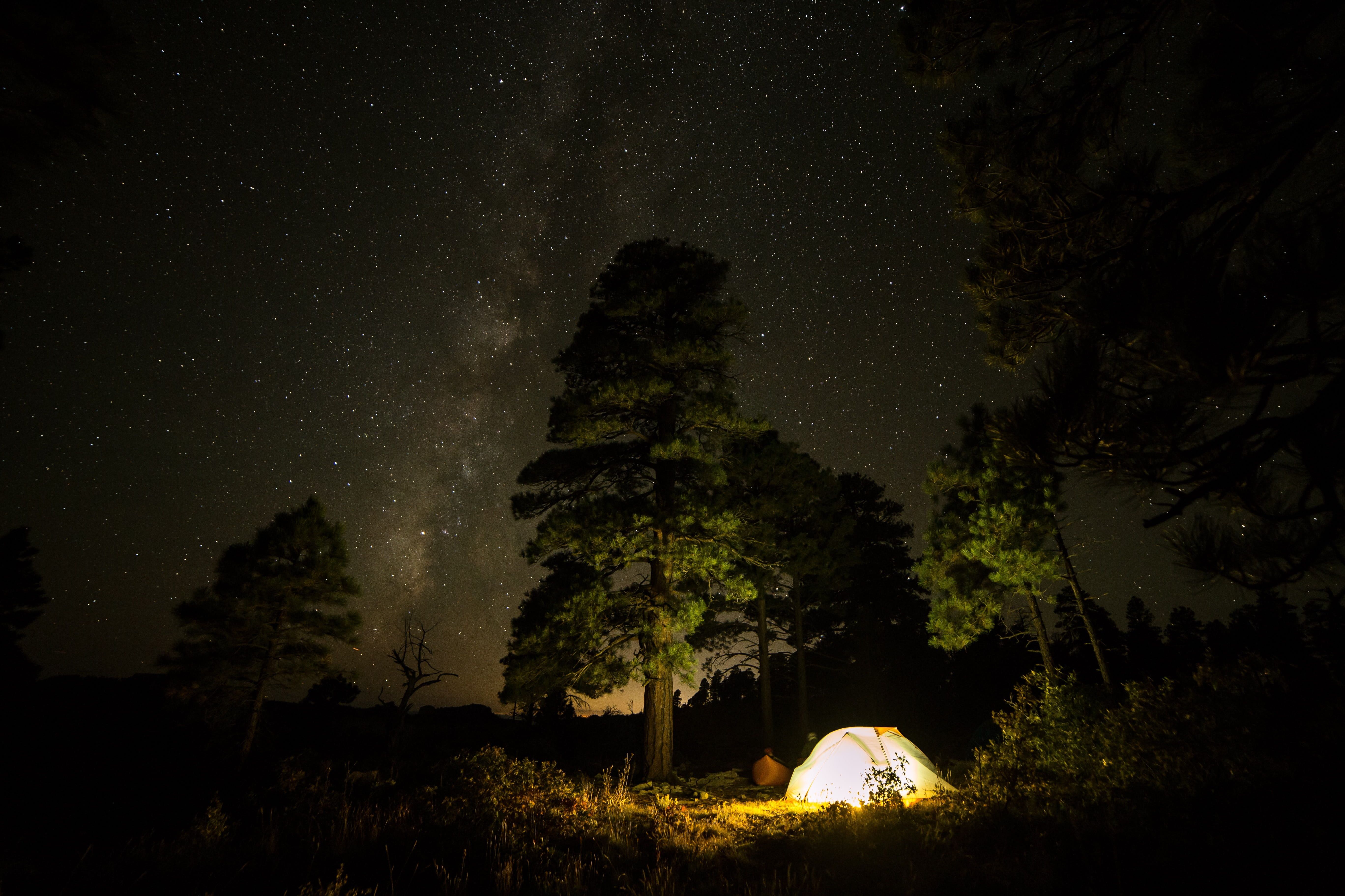 White tent on forest during nighttime