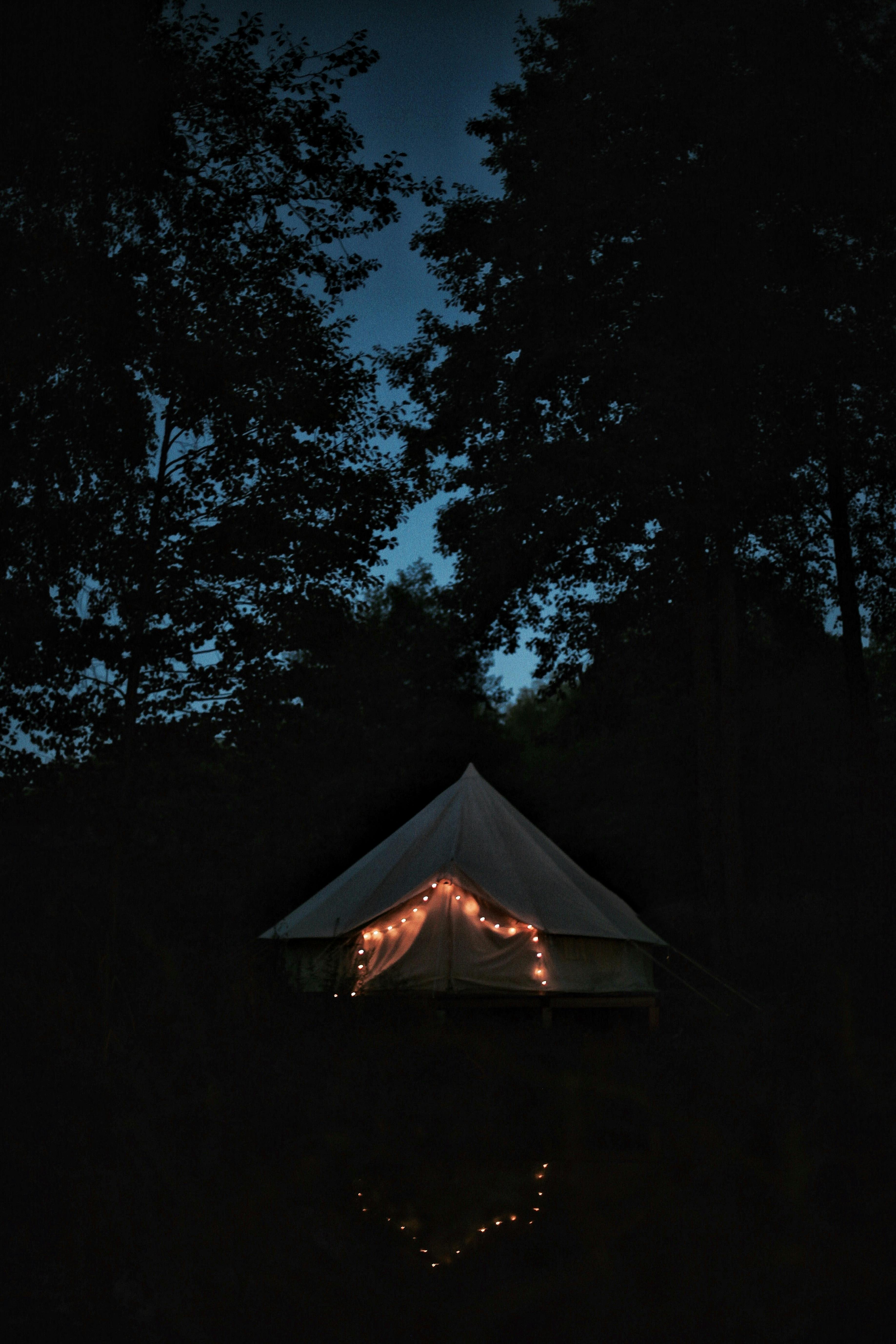 A Tent in a Forest · Free