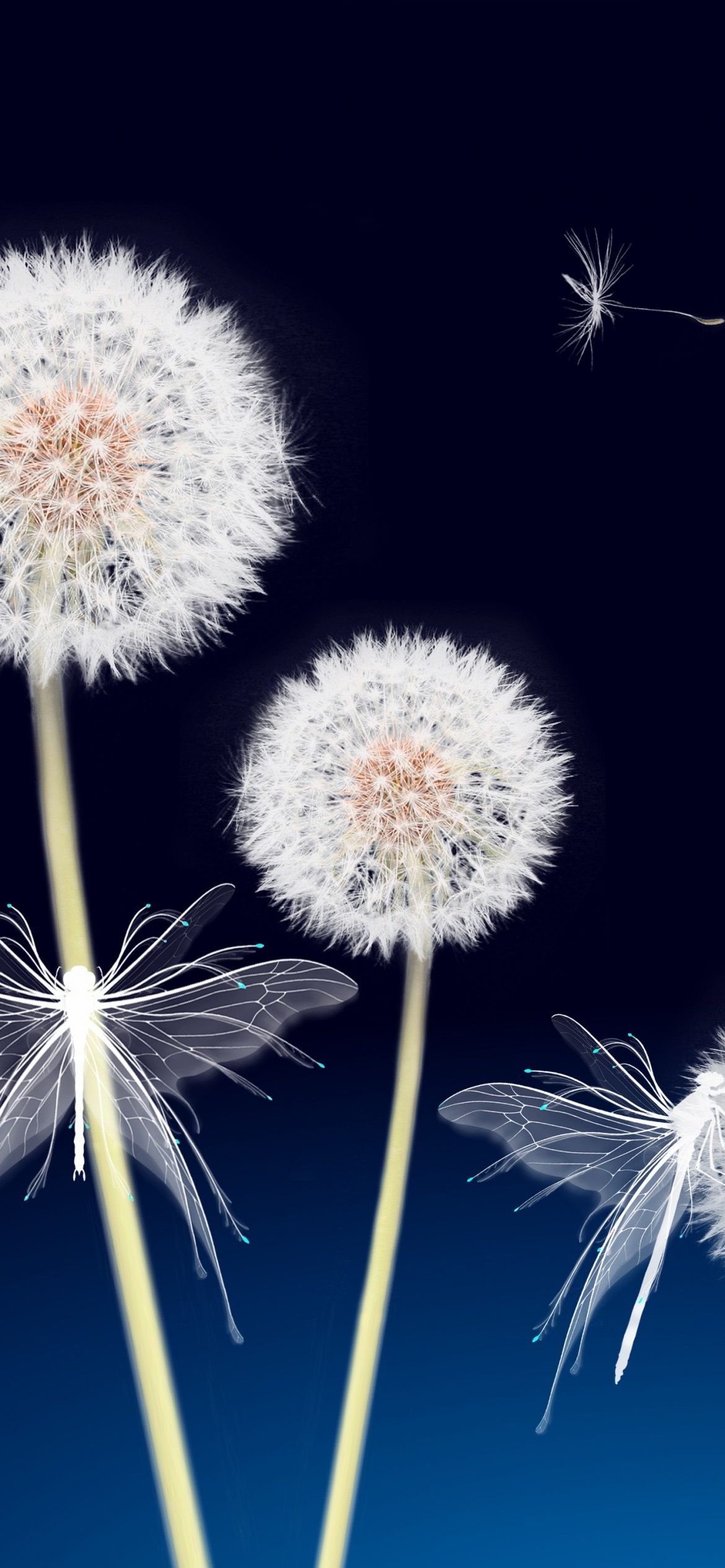 Dandelion flowers Wallpaper 4K