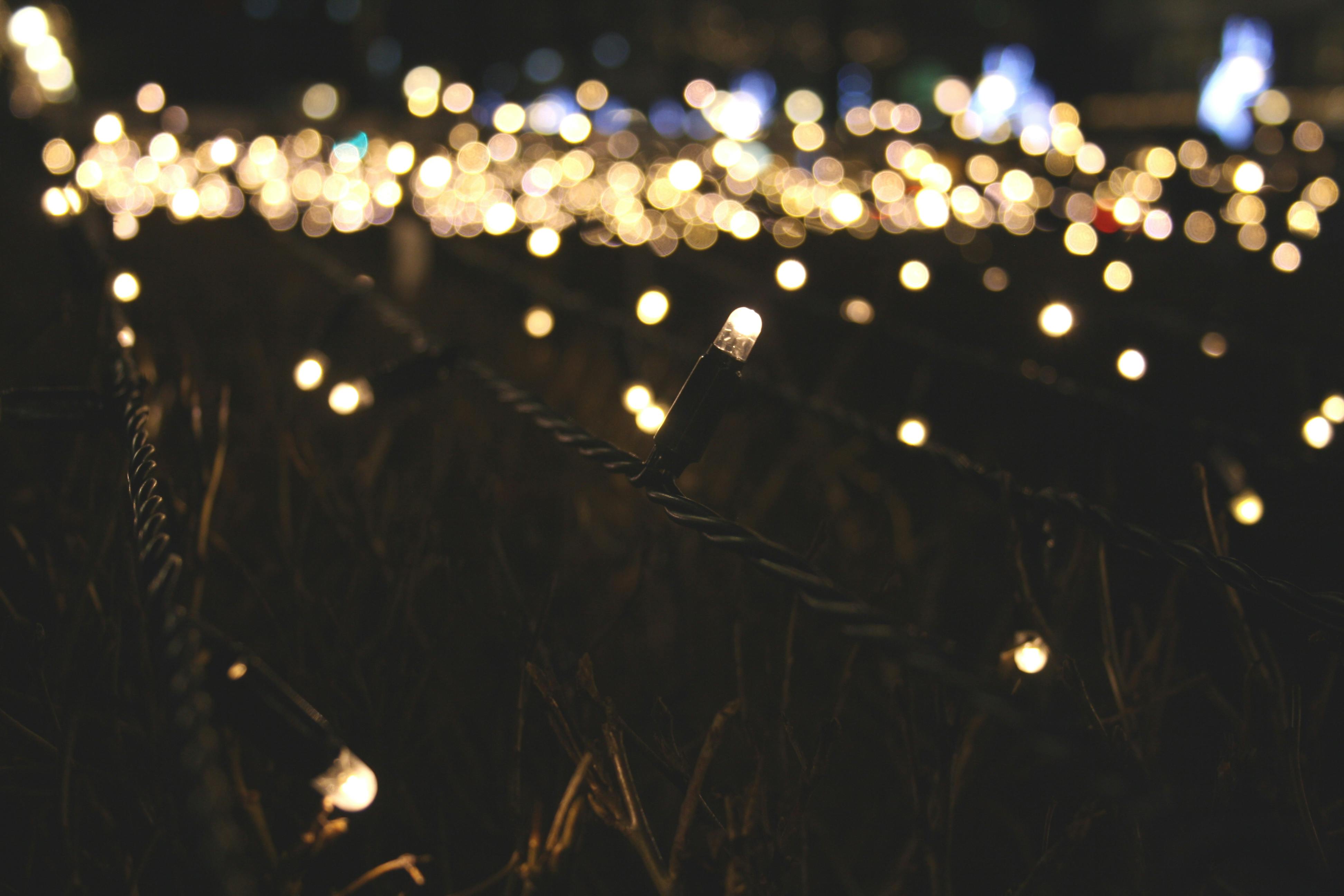 Fairy Lights Photo, Download The BEST