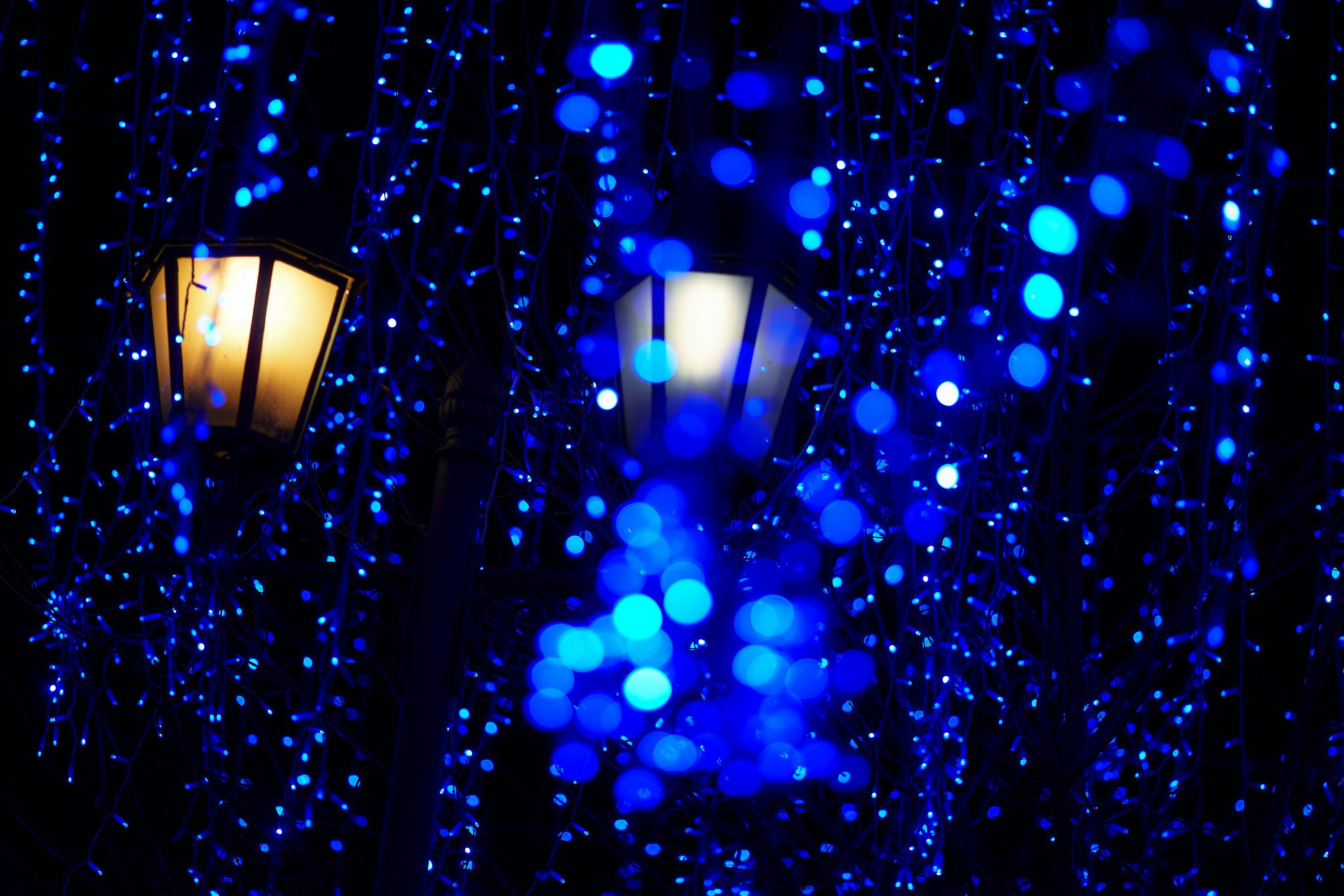 Blue and white string lights photo